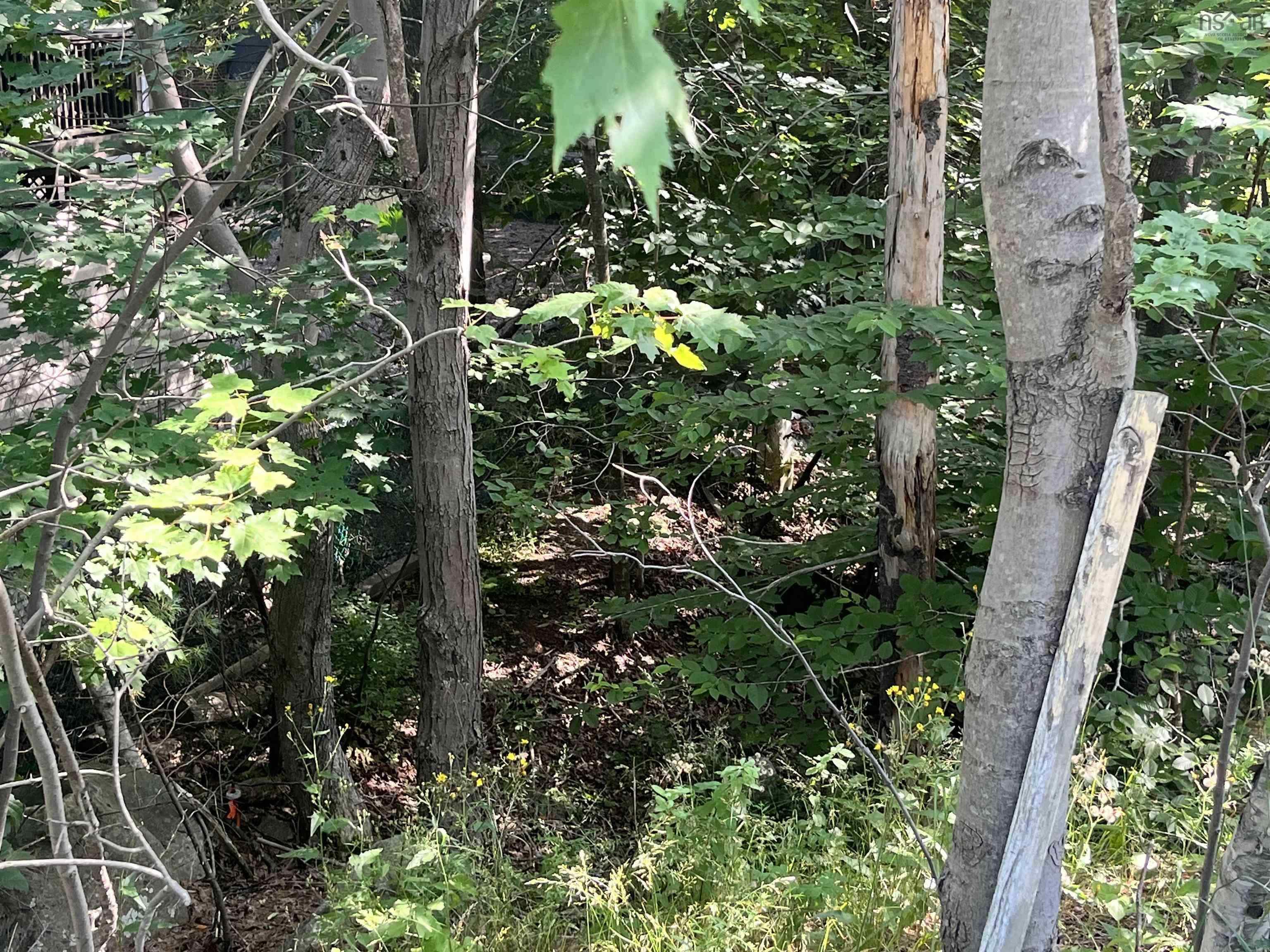 C6c Purcells Cove Road, Halifax, NS (MLS 202602861)