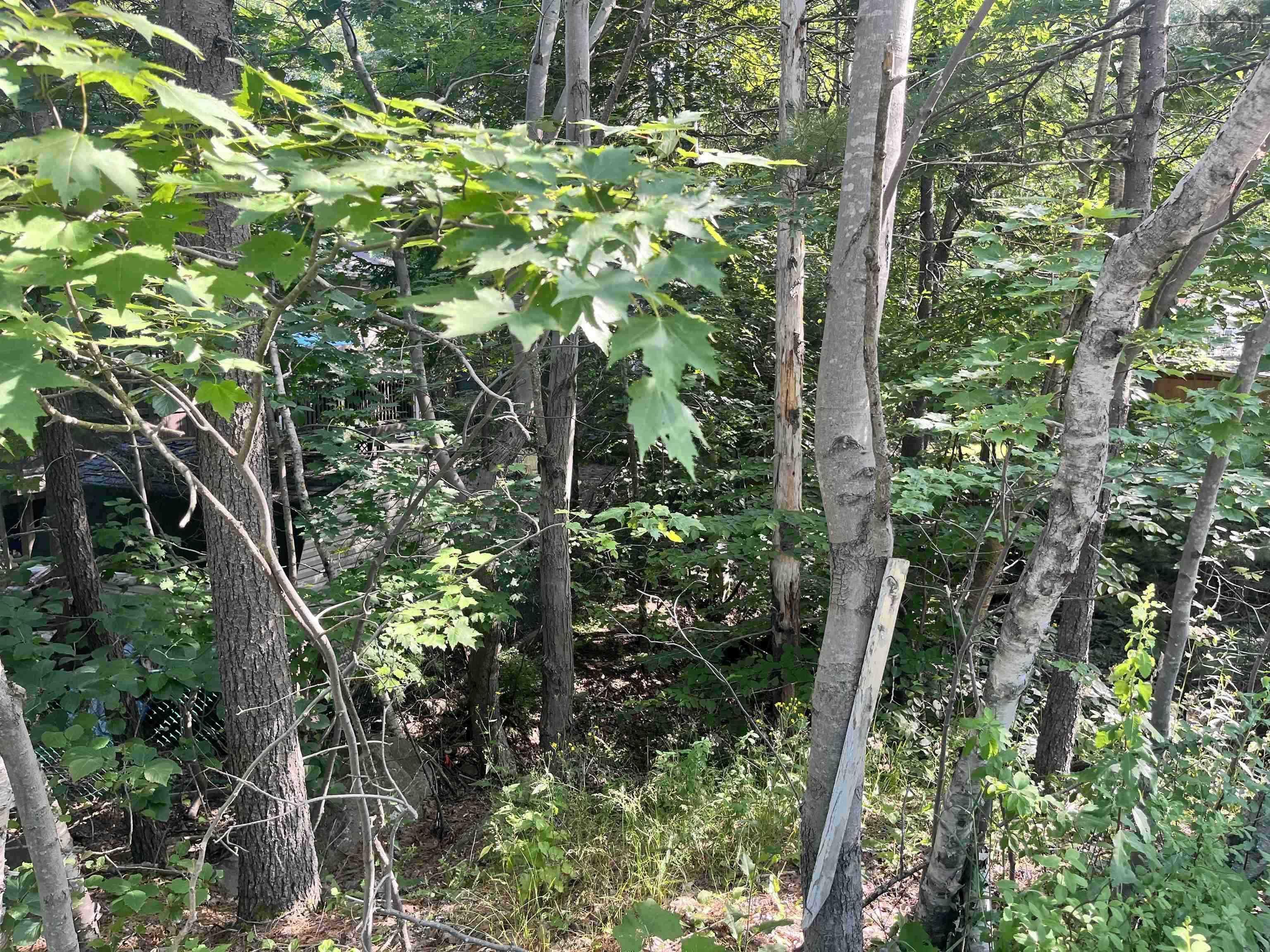 C6c Purcells Cove Road, Halifax, NS (MLS 202602861)