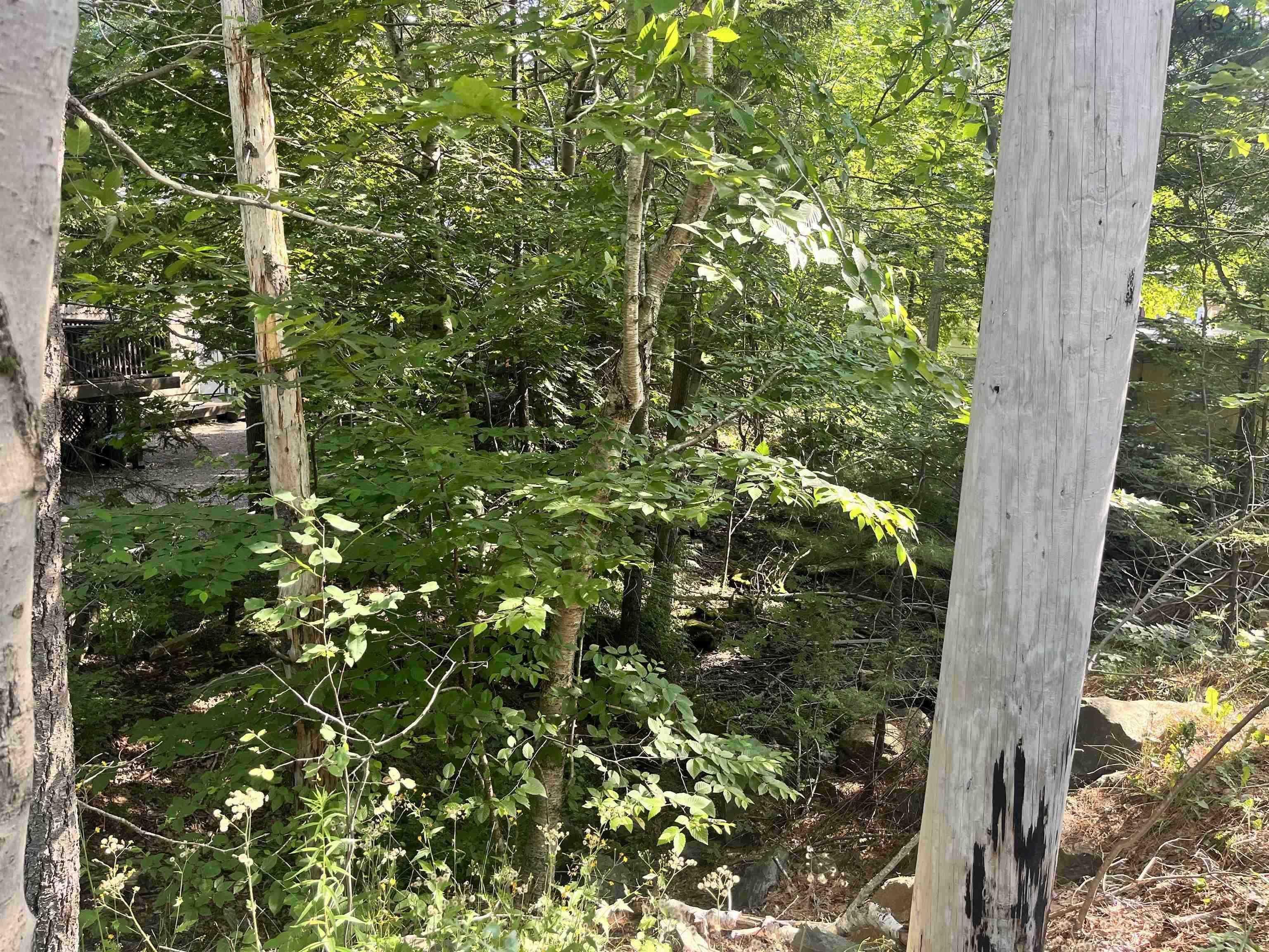 C6c Purcells Cove Road, Halifax, NS (MLS 202602861)