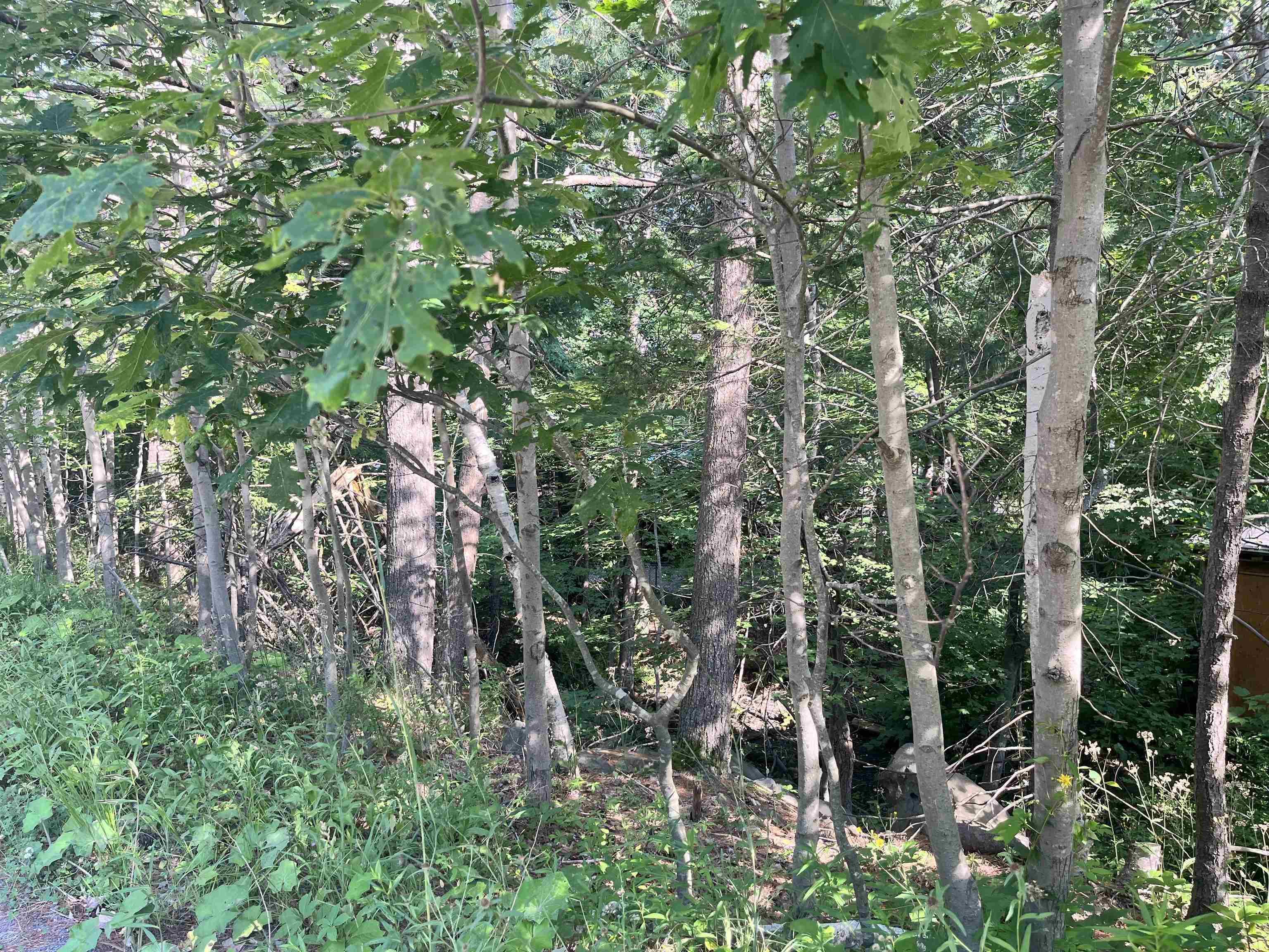 C6c Purcells Cove Road, Halifax, NS (MLS 202602861)