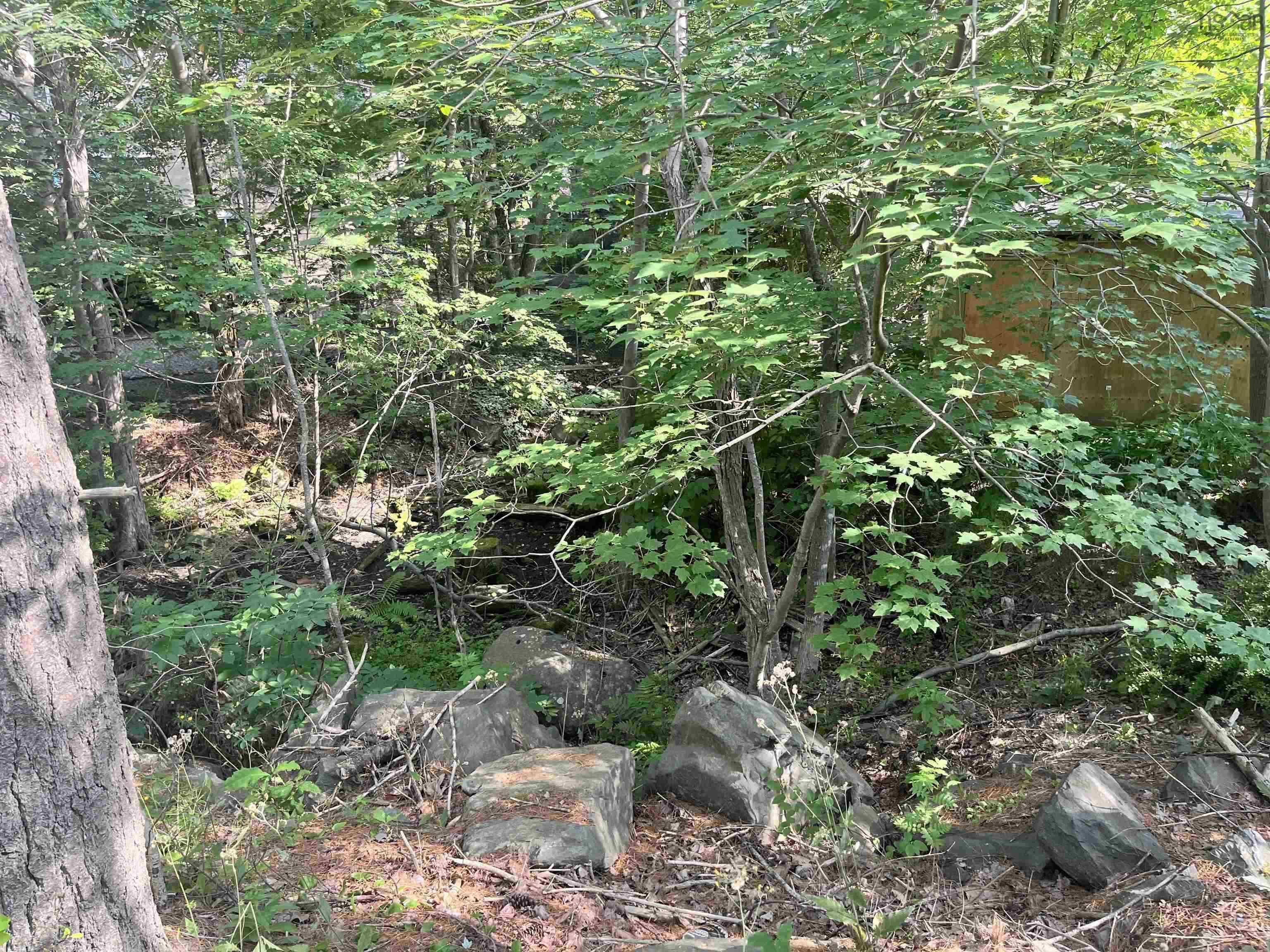 C6c Purcells Cove Road, Halifax, NS (MLS 202602861)