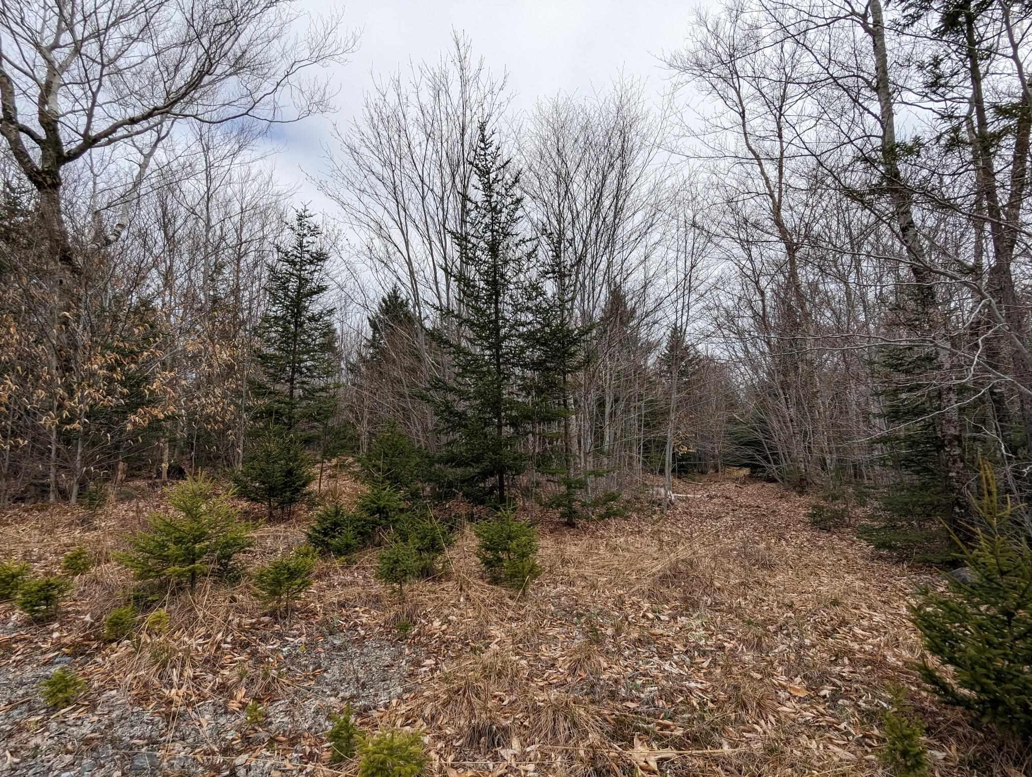 $120,000.00: 148 Mink Lake Drive, Kemptville
