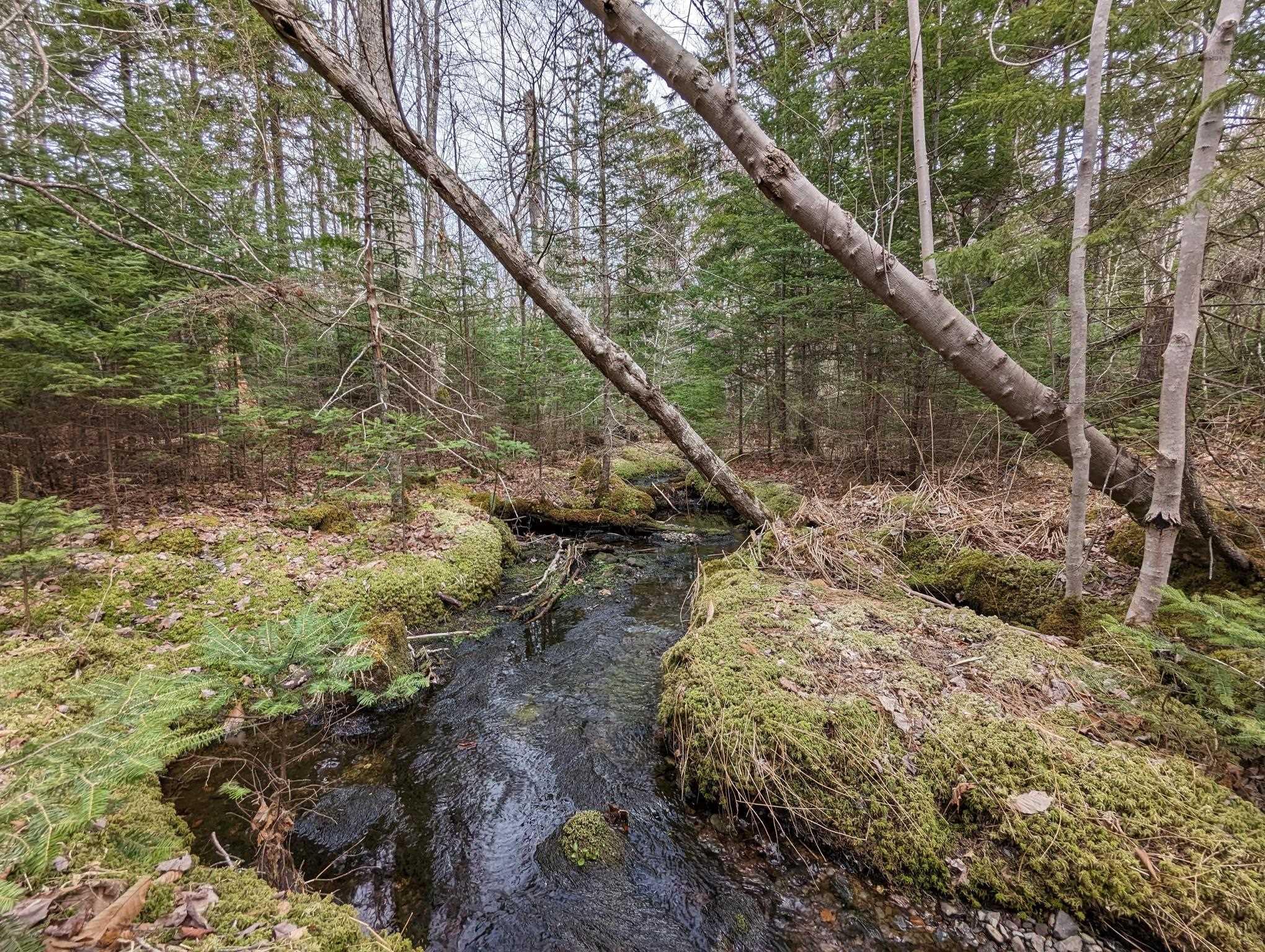 $130,000.00: 148 Mink Lake Drive, Kemptville