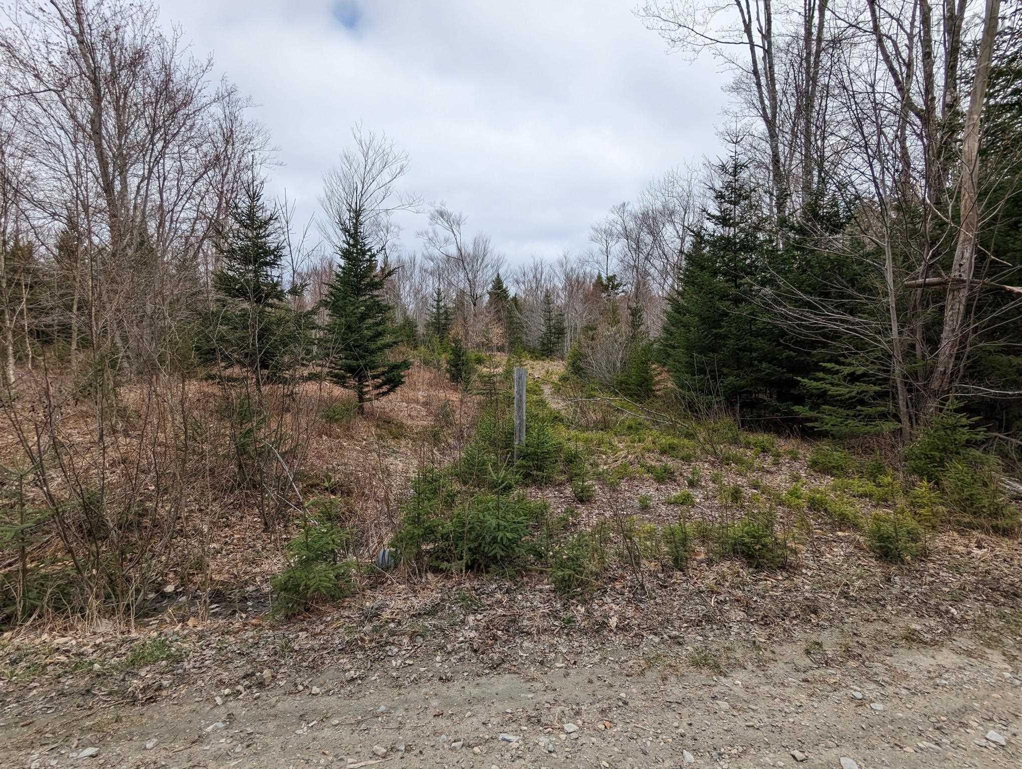 $120,000.00: 148 Mink Lake Drive, Kemptville