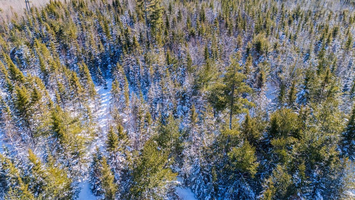 $59,900.00: Lot S-1 OTTERBROOK Road, Otter Brook