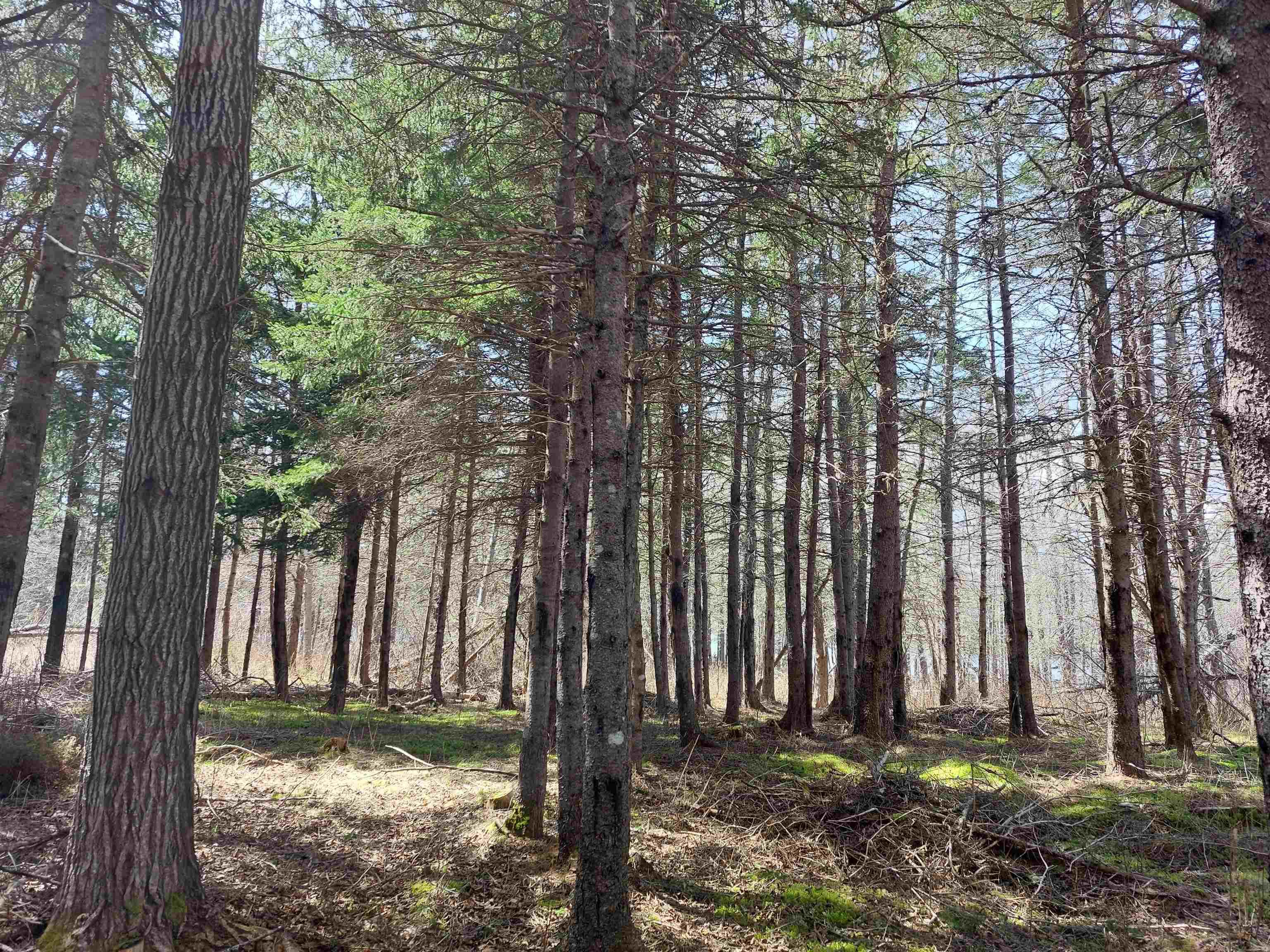 $79,000.00: Lot 21A Jonathan R Bouman Ln, Evanston