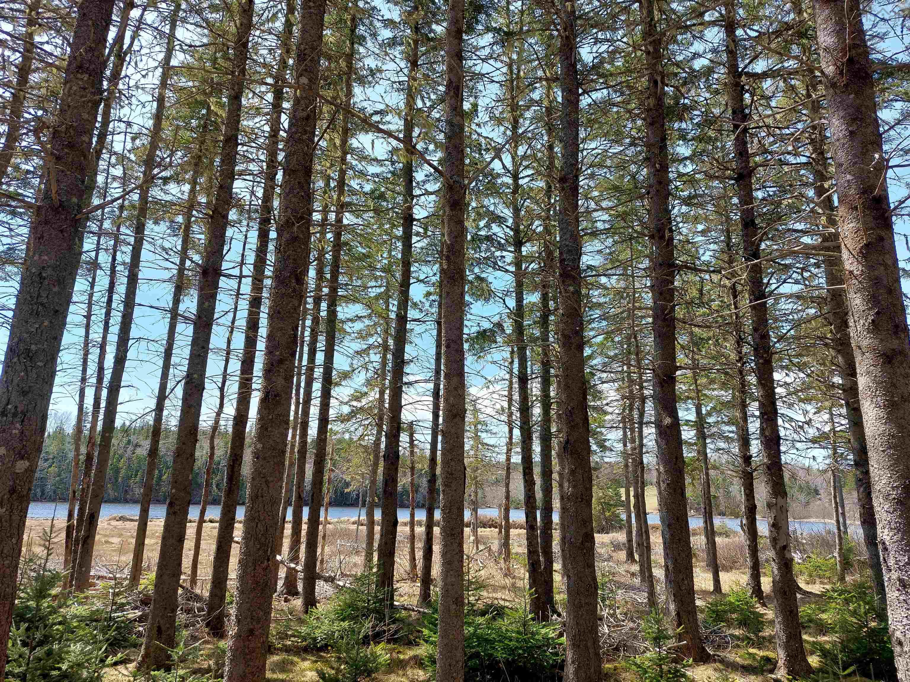 $79,000.00: Lot 21A Jonathan R Bouman Ln, Evanston