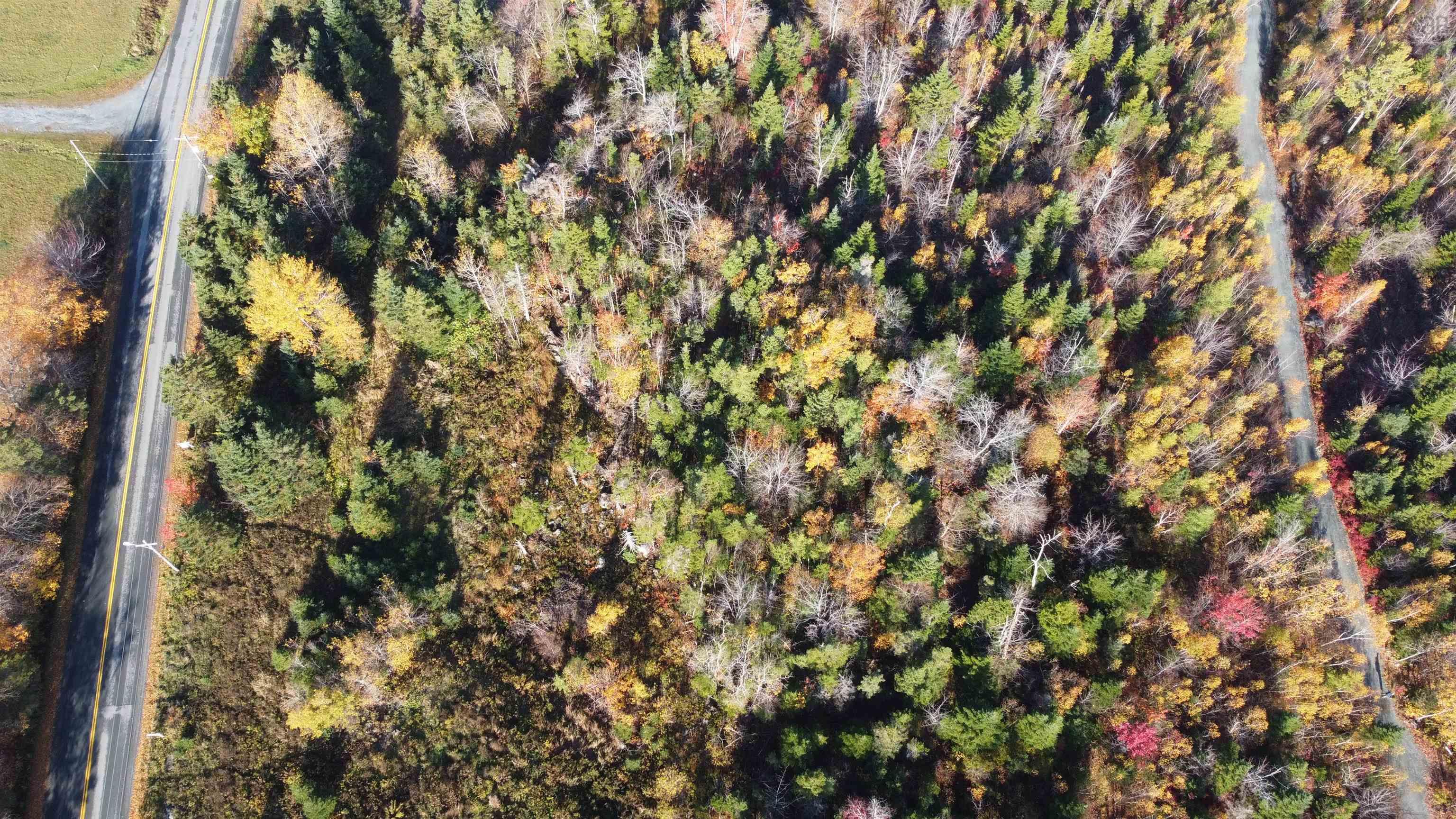 476 Bissett Road, Cole Harbour, NS (MLS 202602910)