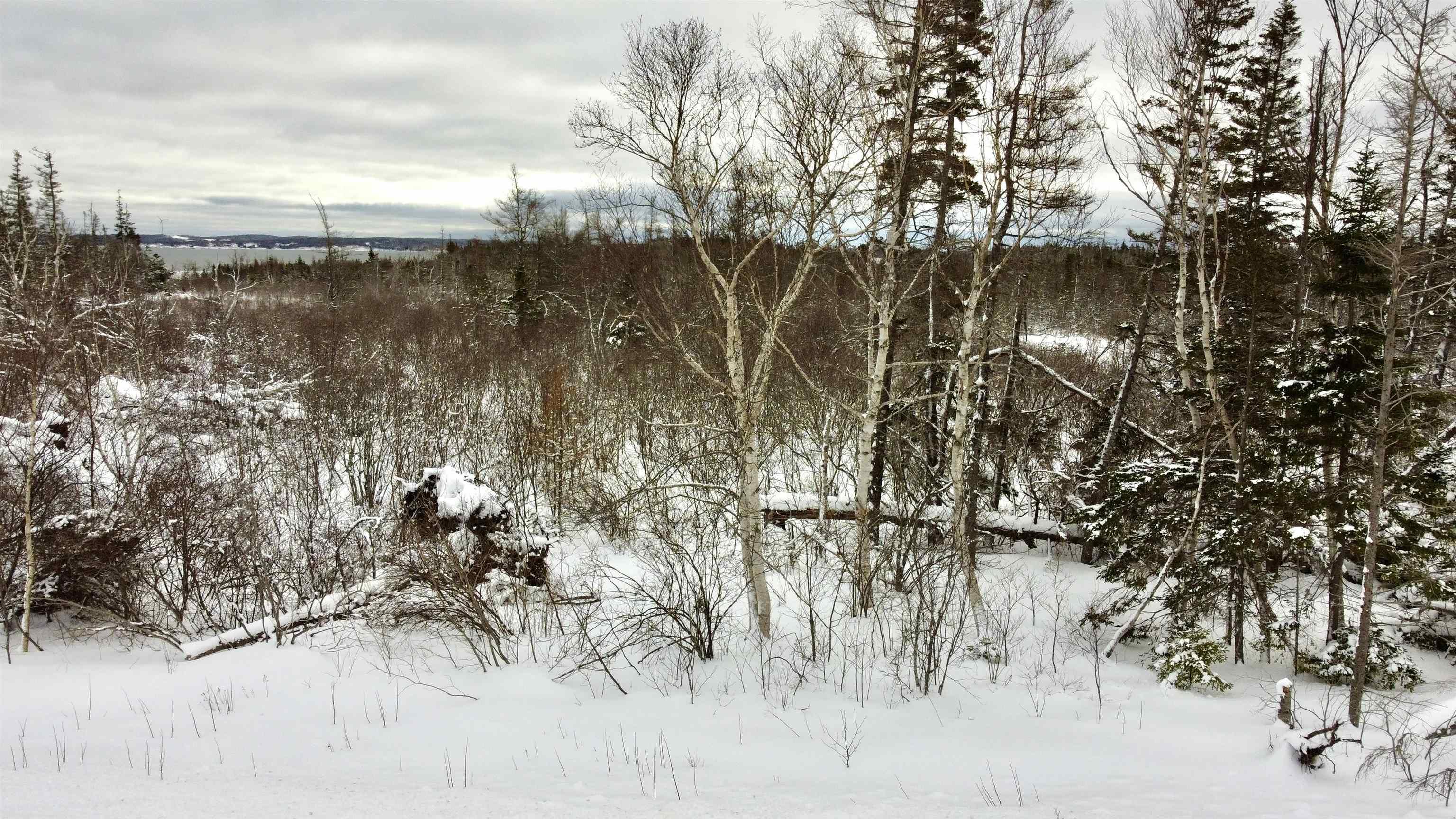 $79,900.00: 255 Highway, Round Island