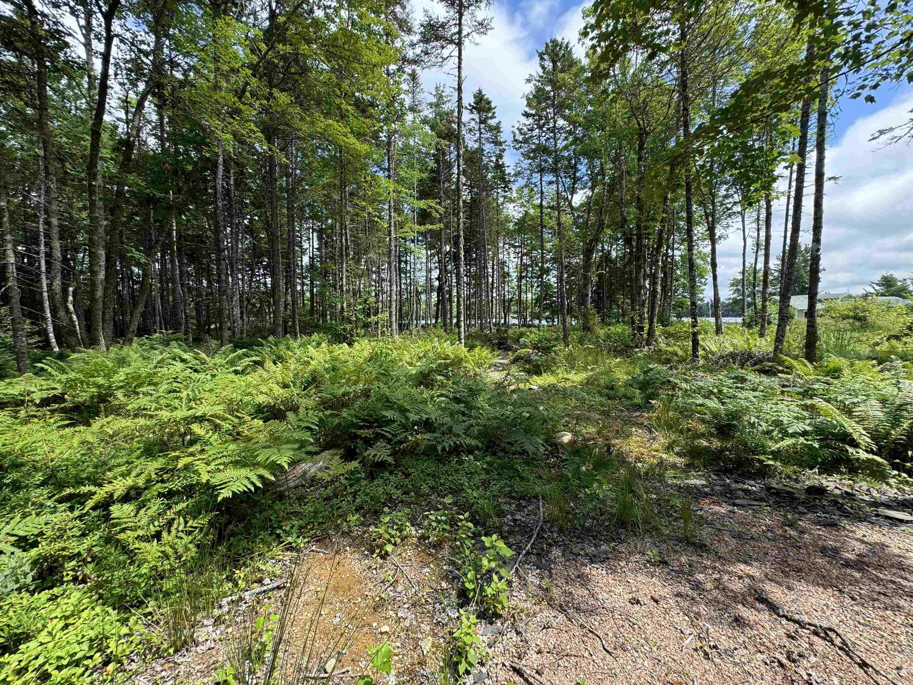 $179,000.00: 7 Lot Package East Lake Road, New Albany