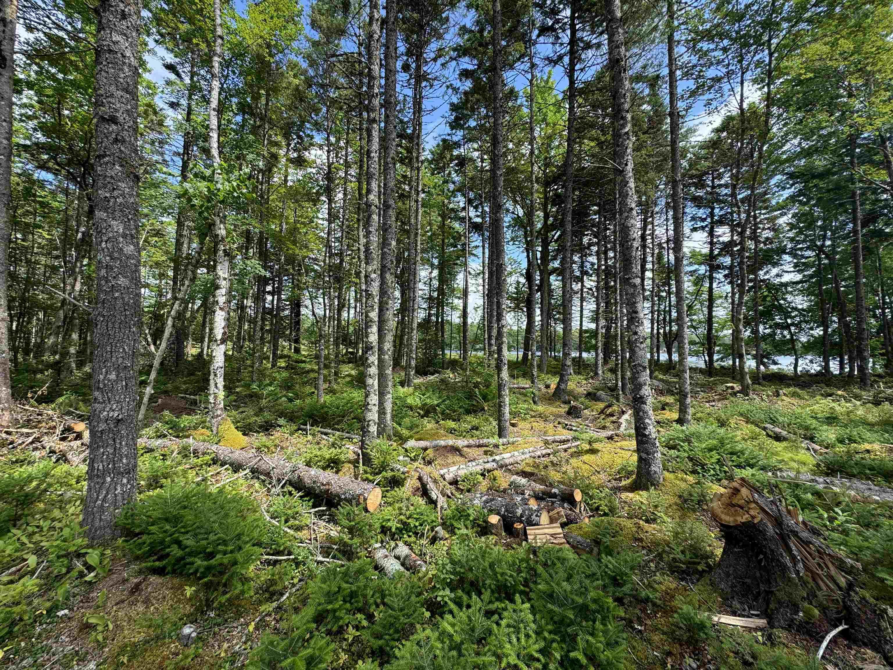 $179,000.00: 7 Lot Package East Lake Road, New Albany