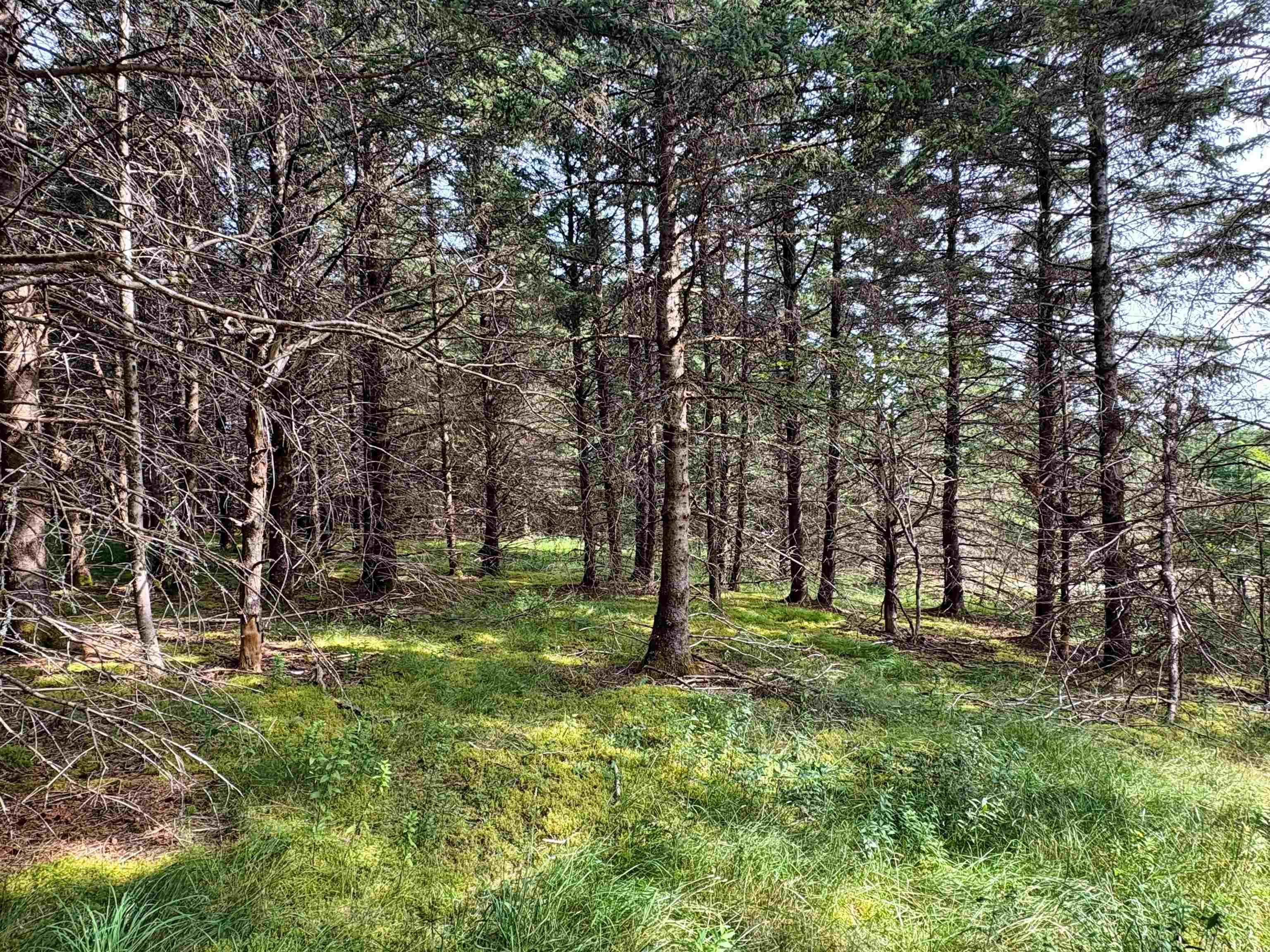 $56,900.00: Lot 5 Shepherds Hill Road, Riverport