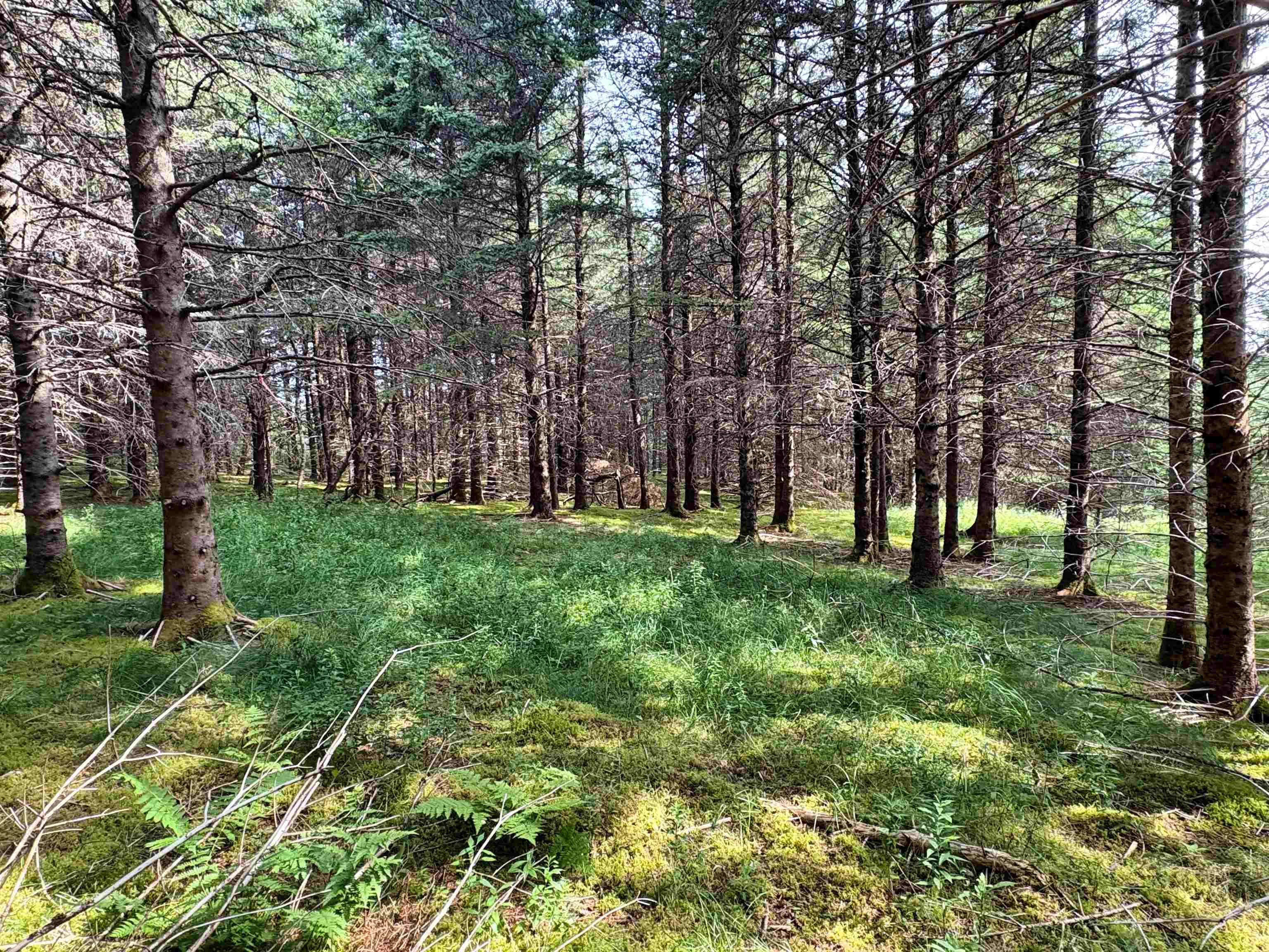 $56,900.00: Lot 5 Shepherds Hill Road, Riverport