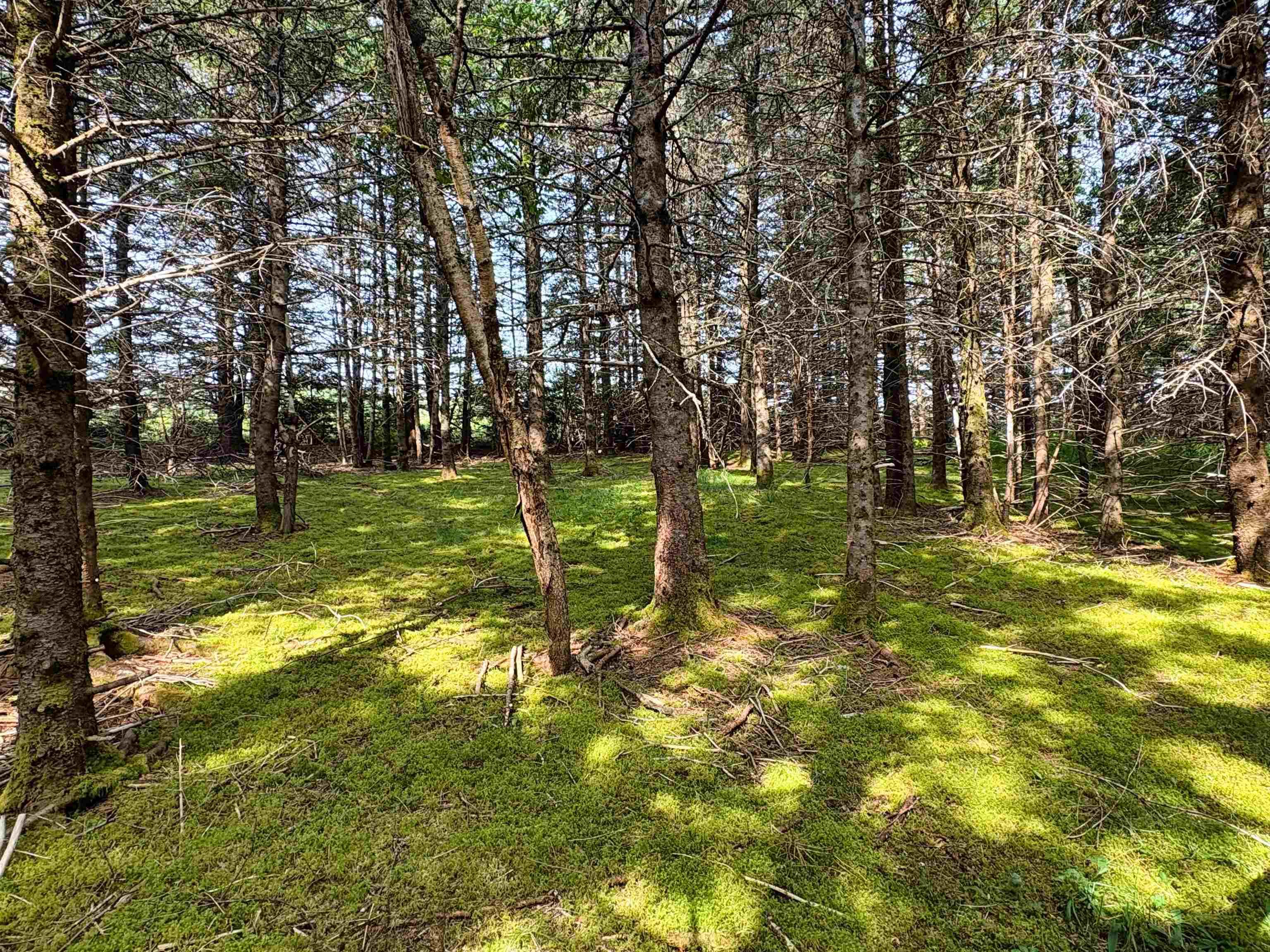 $56,900.00: Lot 5 Shepherds Hill Road, Riverport