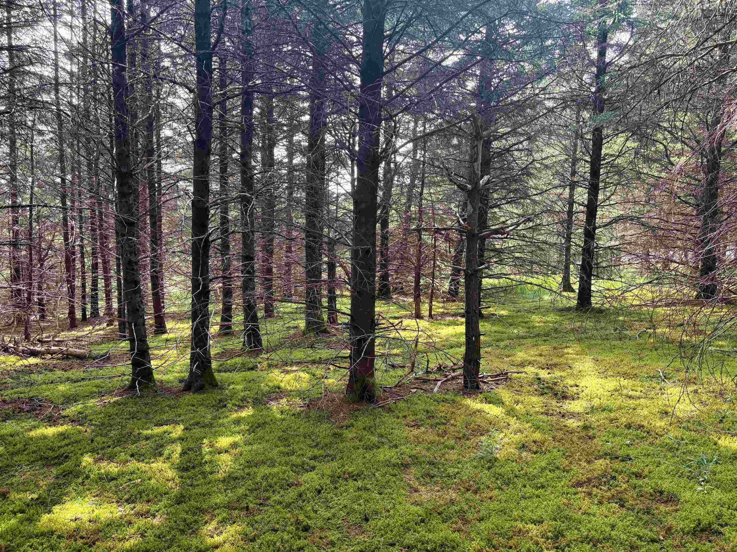 $56,900.00: Lot 5 Shepherds Hill Road, Riverport