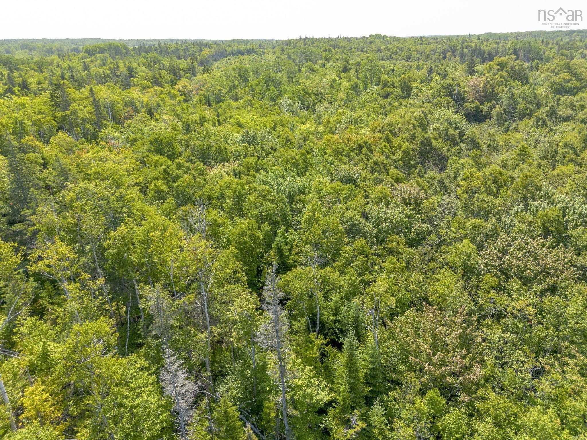 $64,900.00: Lot 19 Pelton Mountain Road, Chipman Brook