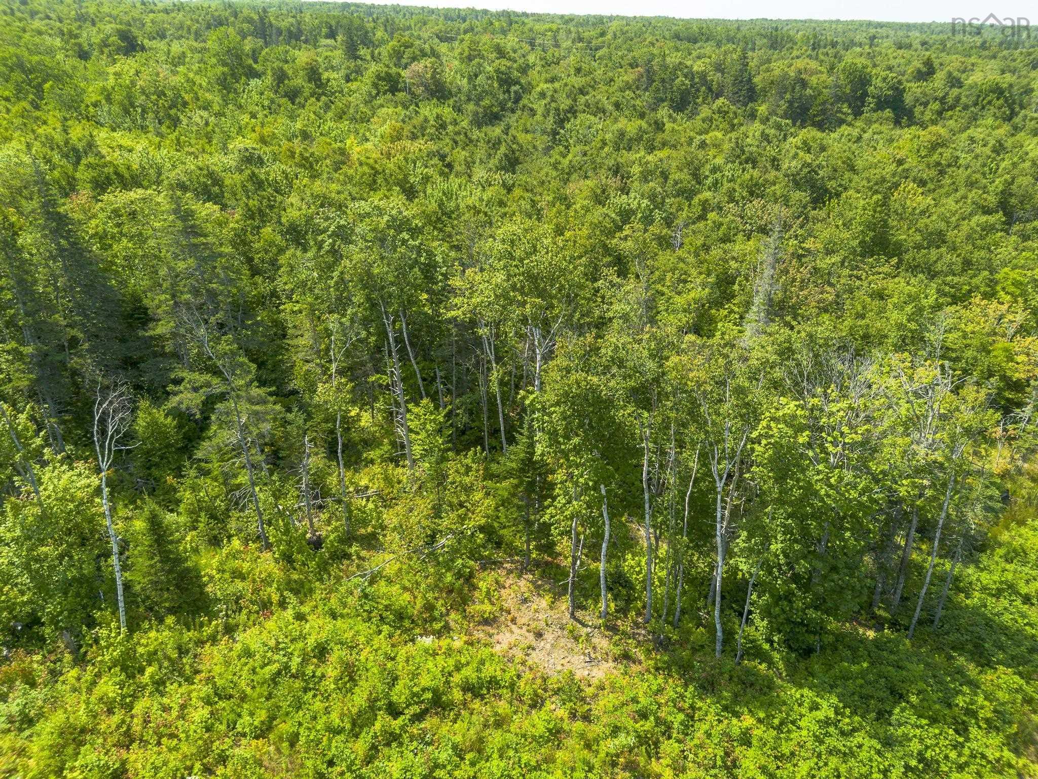 $64,900.00: Lot 19 Pelton Mountain Road, Chipman Brook