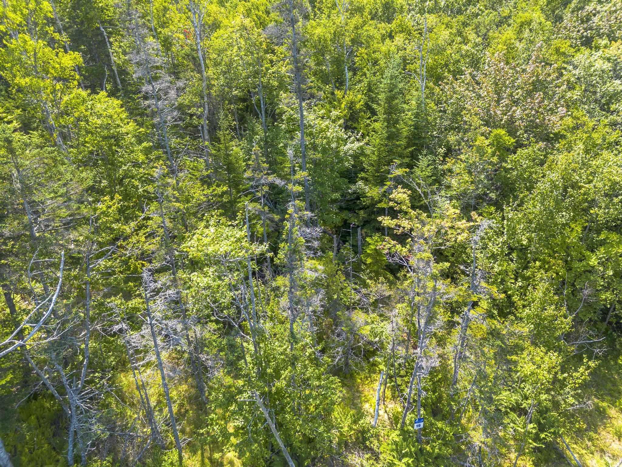 $64,900.00: Lot 19 Pelton Mountain Road, Chipman Brook