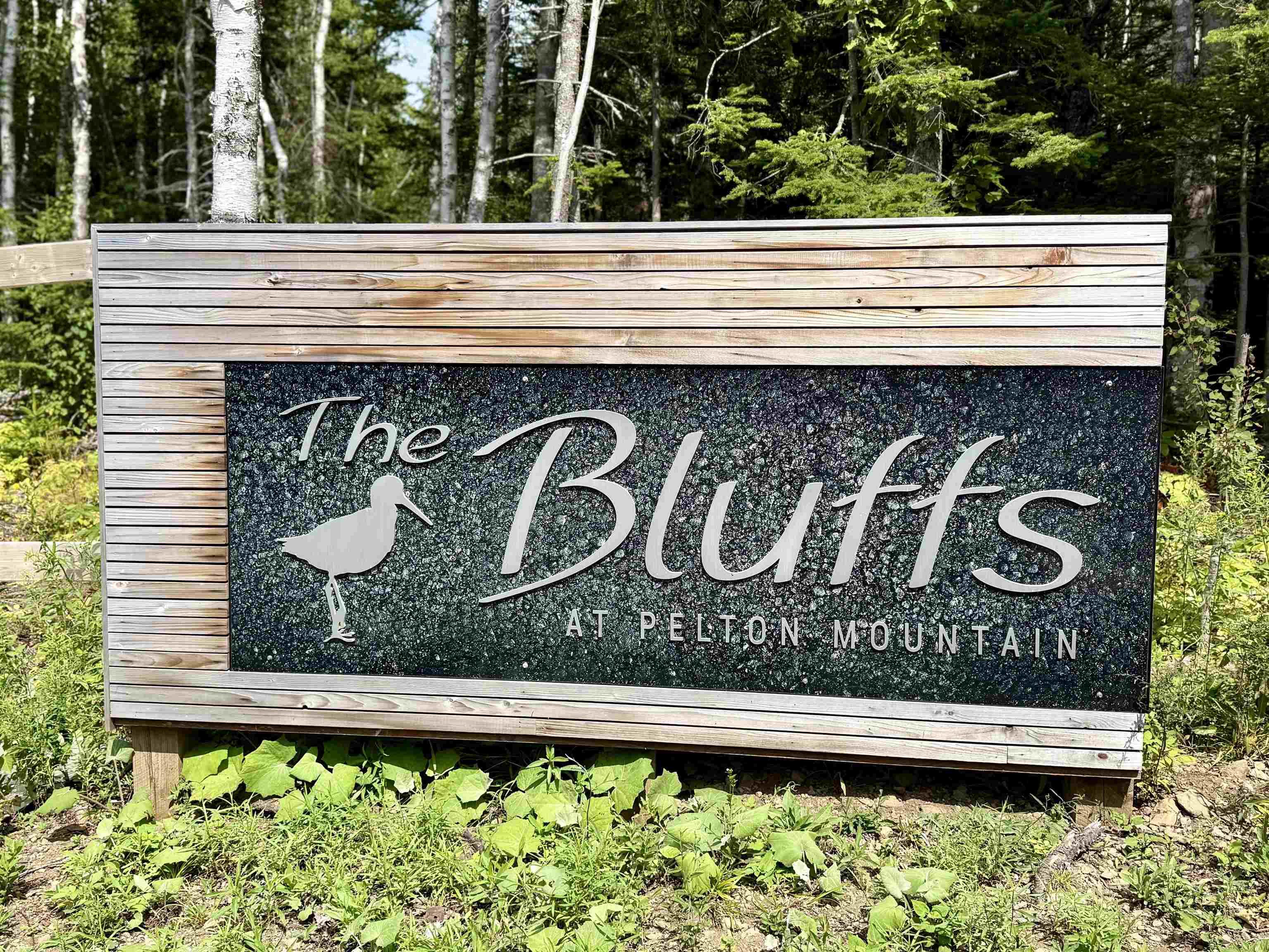 $64,900.00: Lot 19 Pelton Mountain Road, Chipman Brook