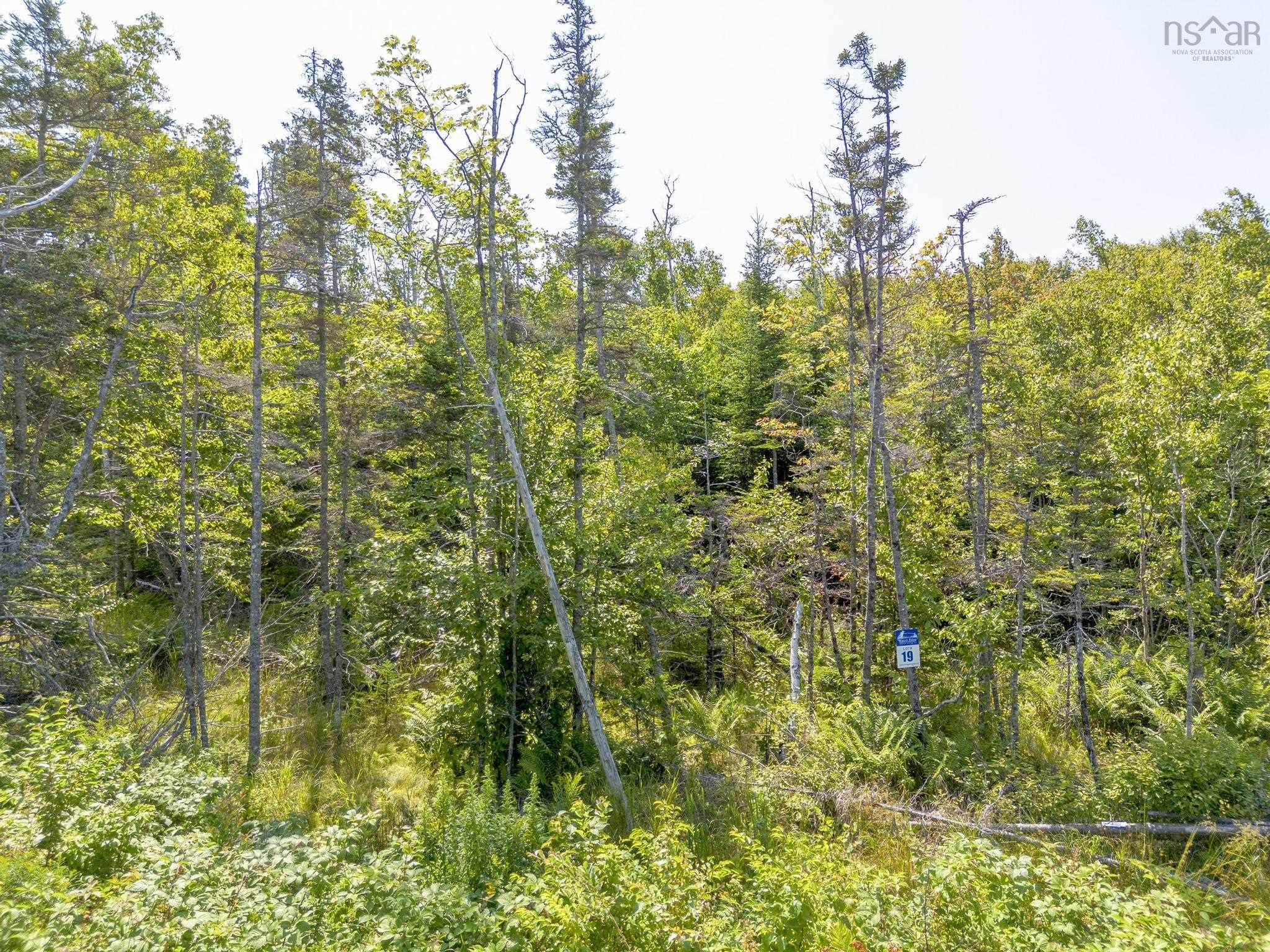 $64,900.00: Lot 19 Pelton Mountain Road, Chipman Brook