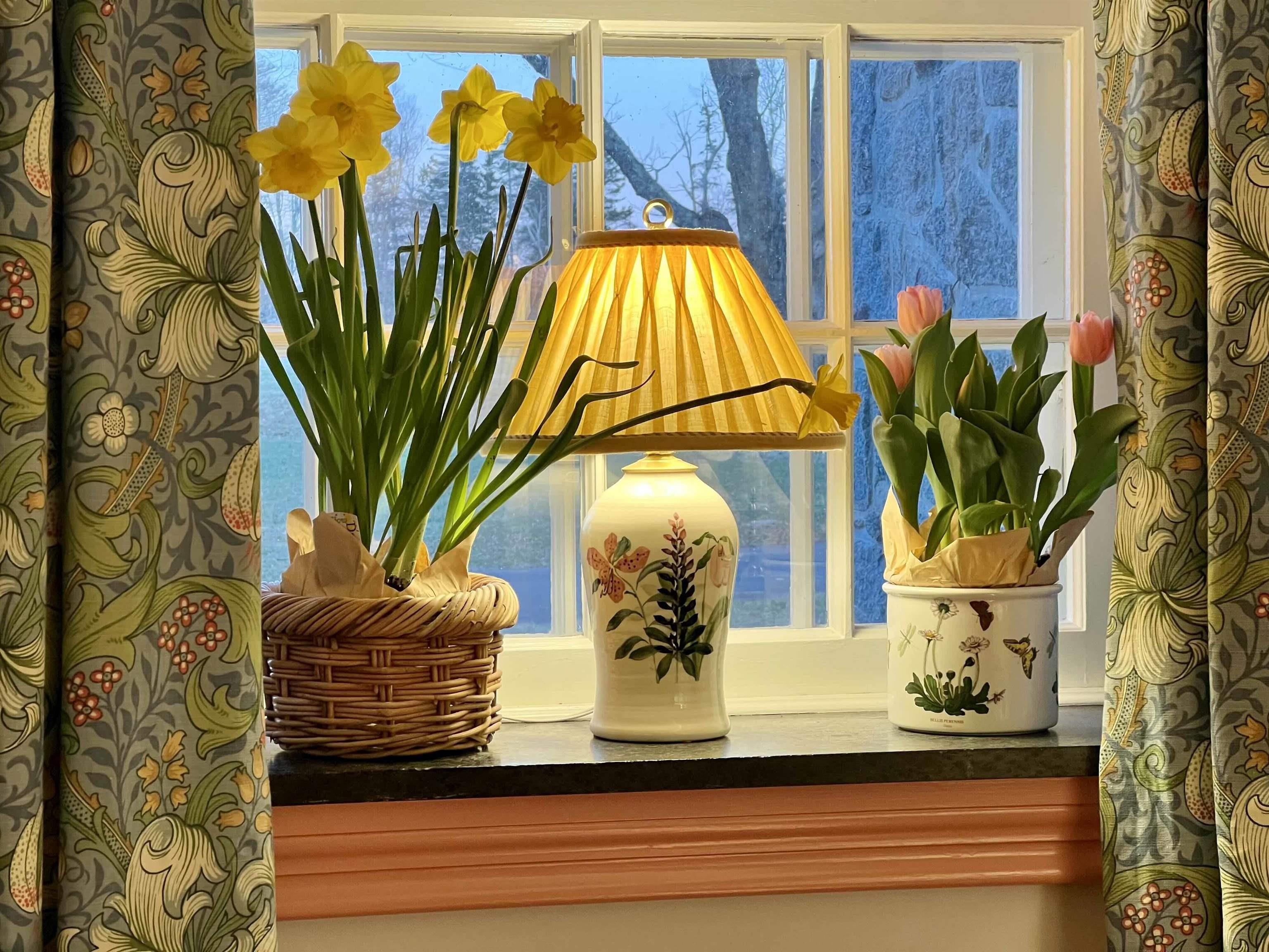 $3,295,000.00: 3746 Highway 1, Allains Creek