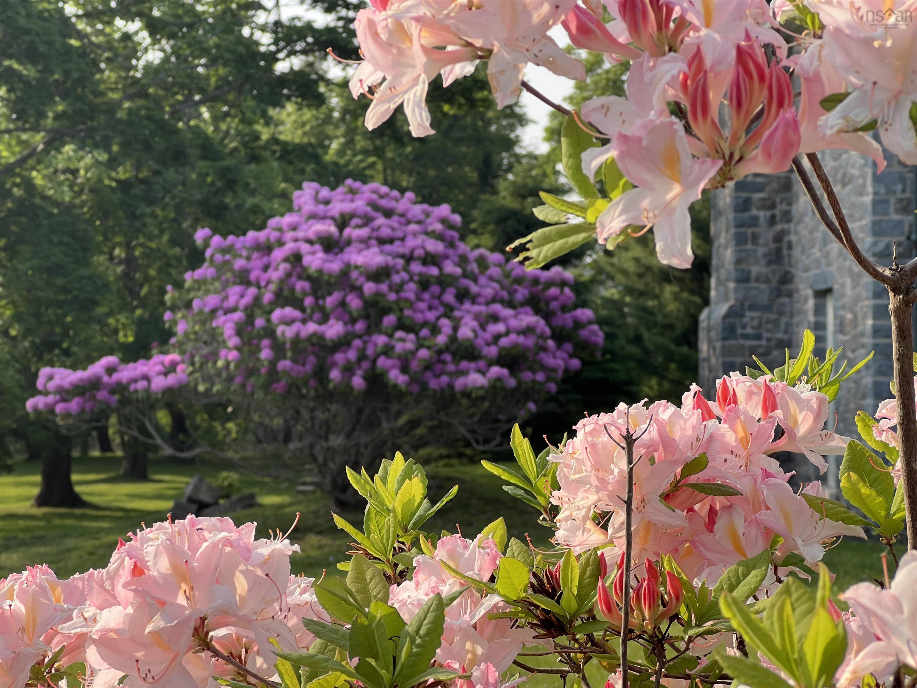 $3,295,000.00: 3746 Highway 1, Allains Creek