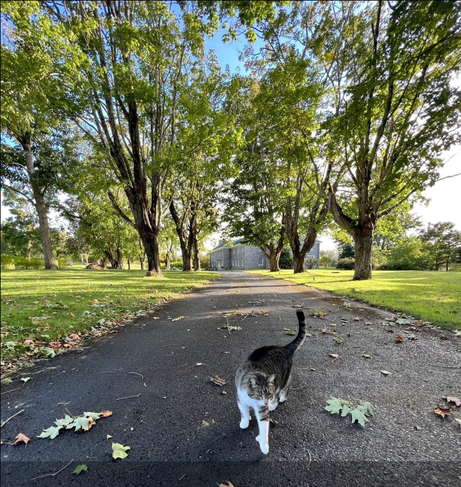 $3,295,000.00: 3746 Highway 1, Allains Creek