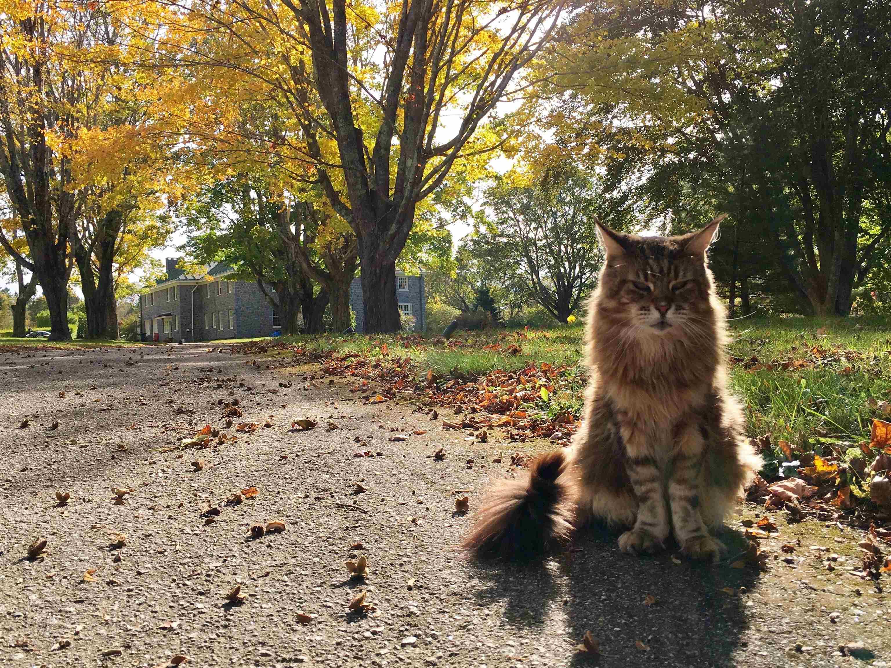 $3,295,000.00: 3746 Highway 1, Allains Creek