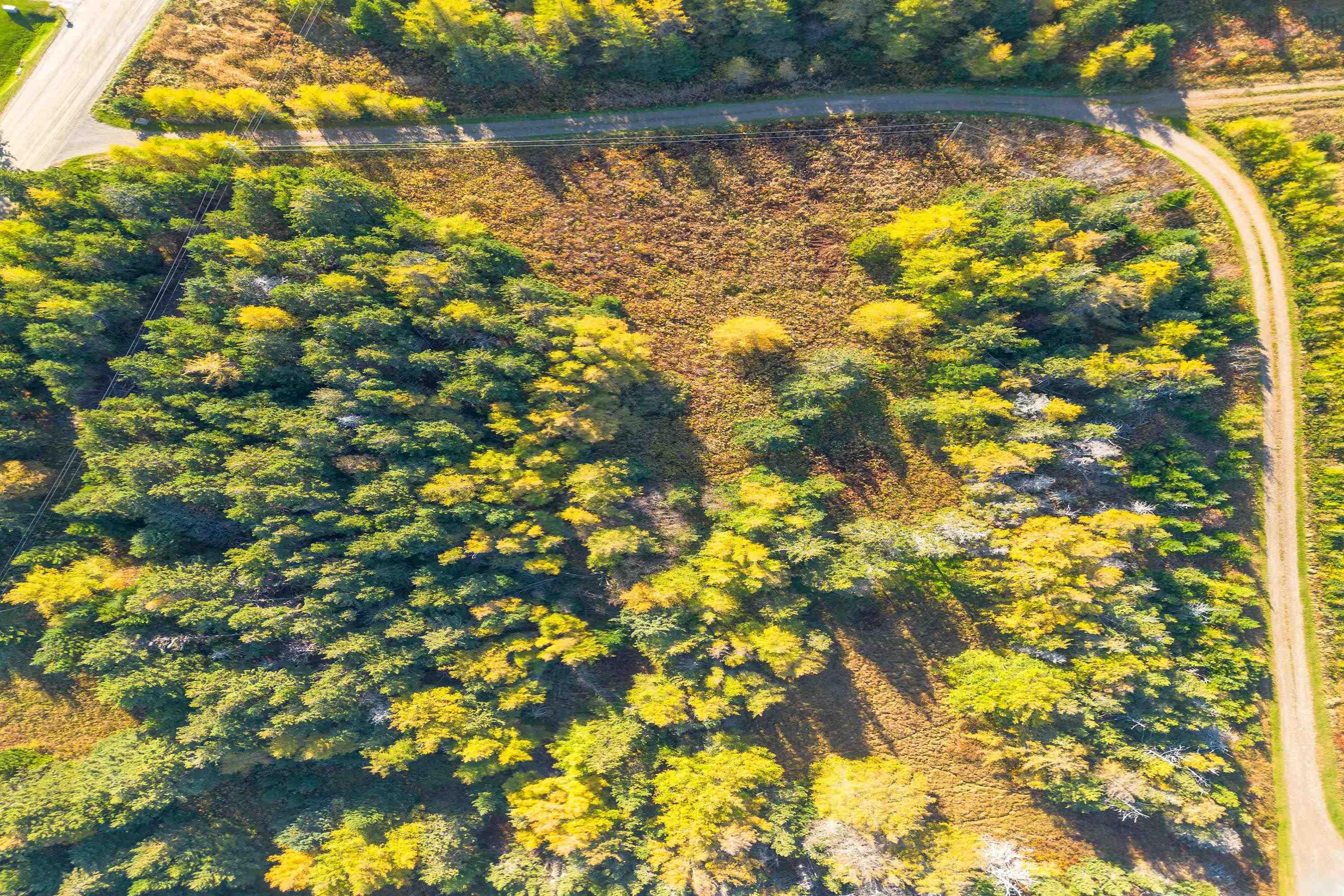 $425,000.00: Lower Shore Road, Little Judique