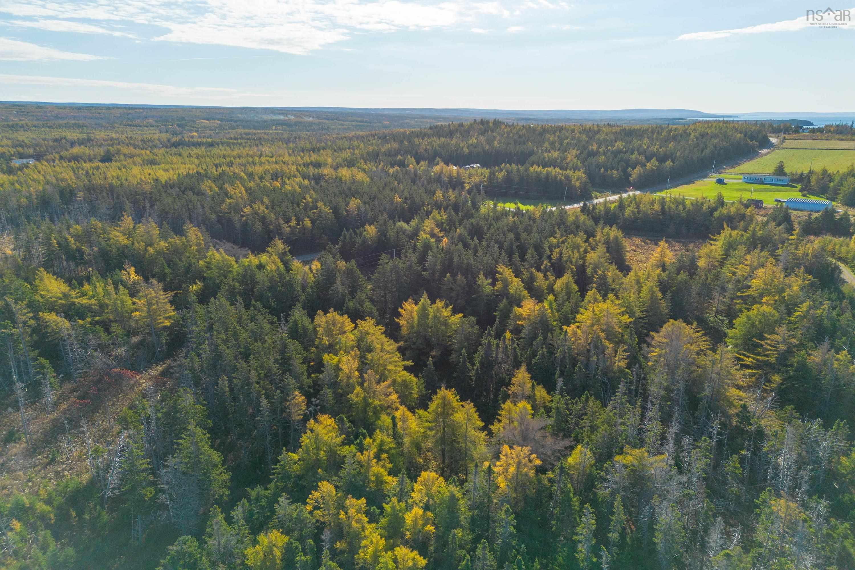 $425,000.00: Lower Shore Road, Little Judique