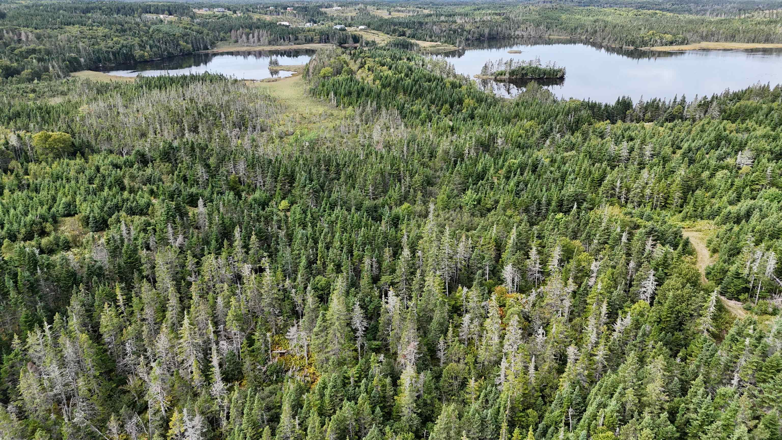 $699,000.00: 1757 St Peters Fourchu Road, Grand River