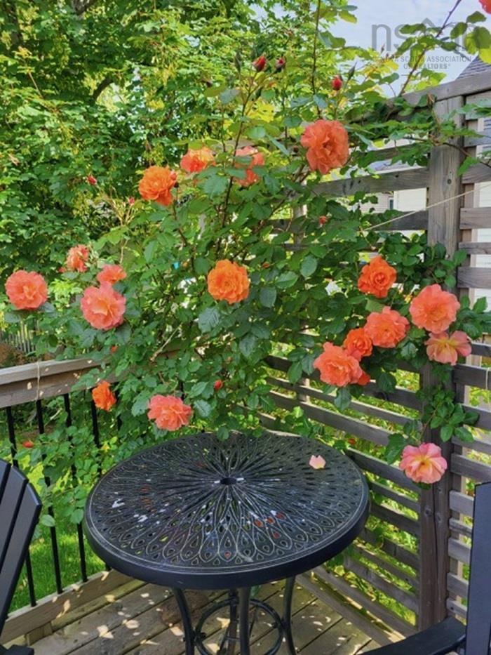 $450,000.00: 37 St James Street, Annapolis Royal