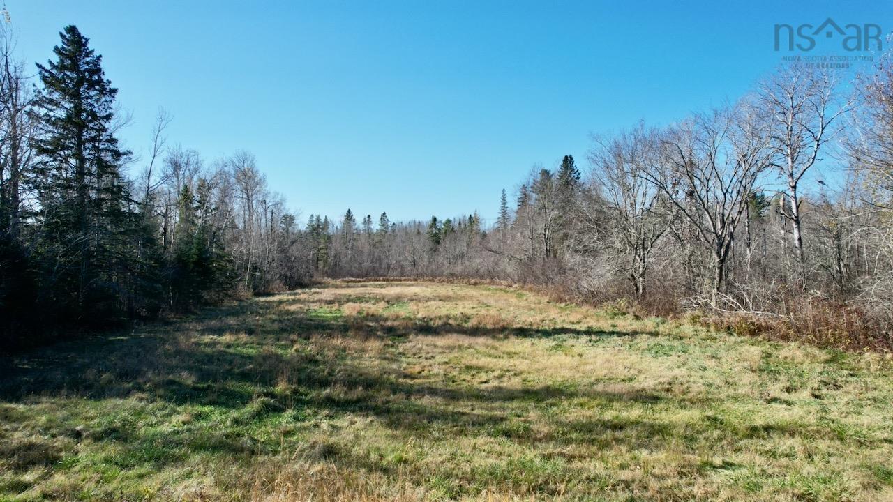 Mount Pleasant Road, Oxford, NS (MLS 202603059)