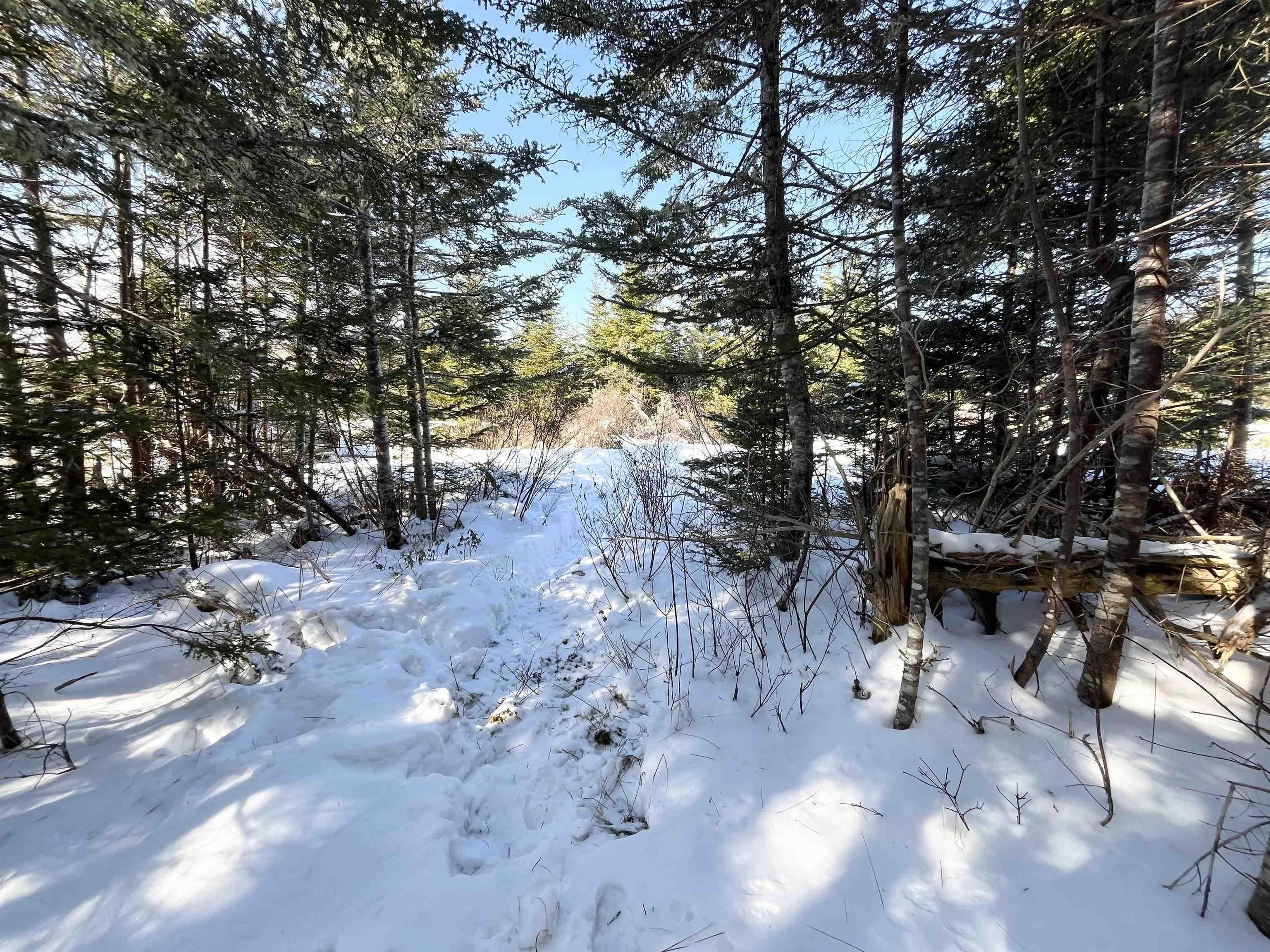 $65,000.00: 46 Shag Harbour Station Road, Shag Harbour