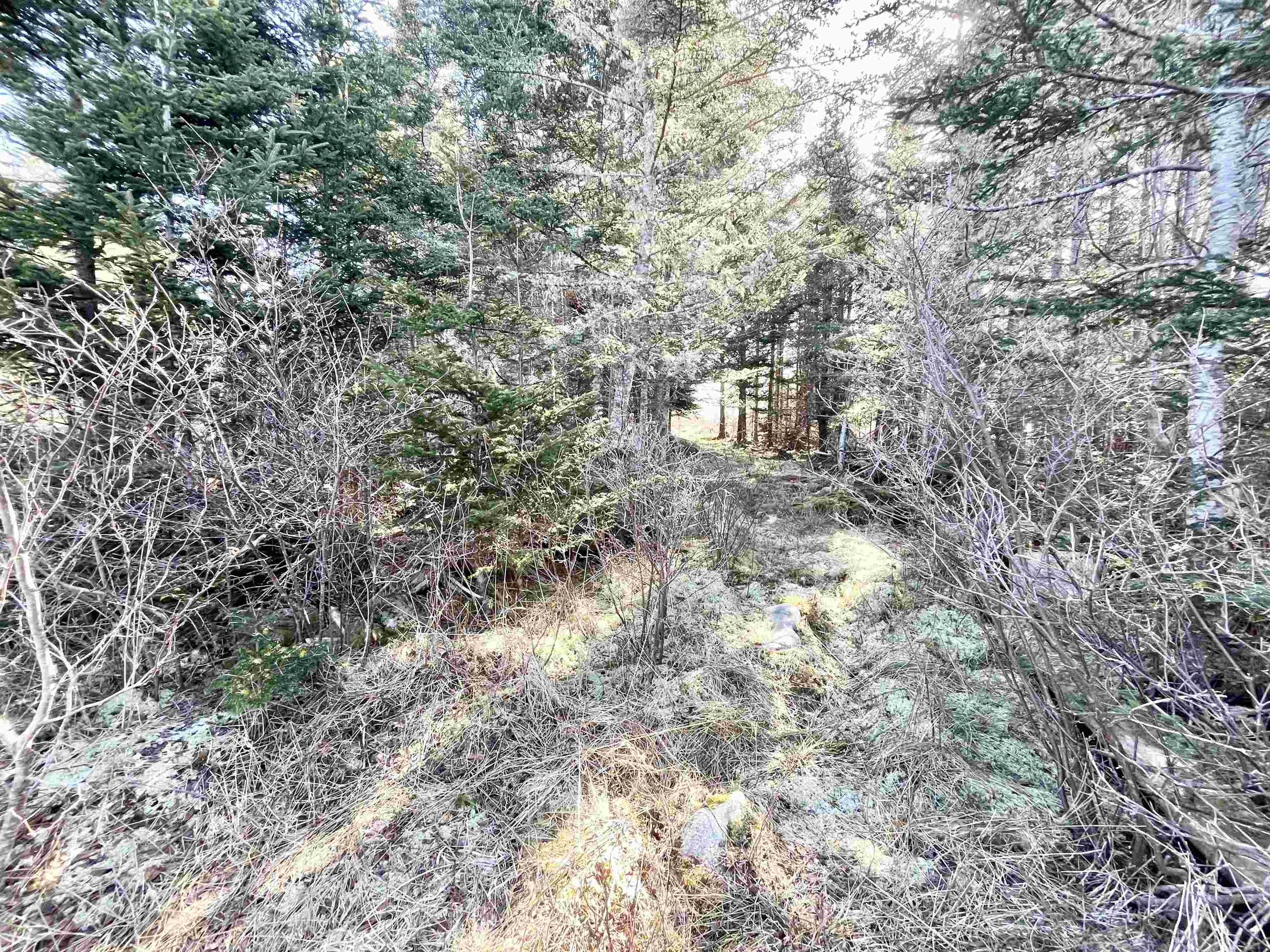 $65,000.00: 46 Shag Harbour Station Road, Shag Harbour