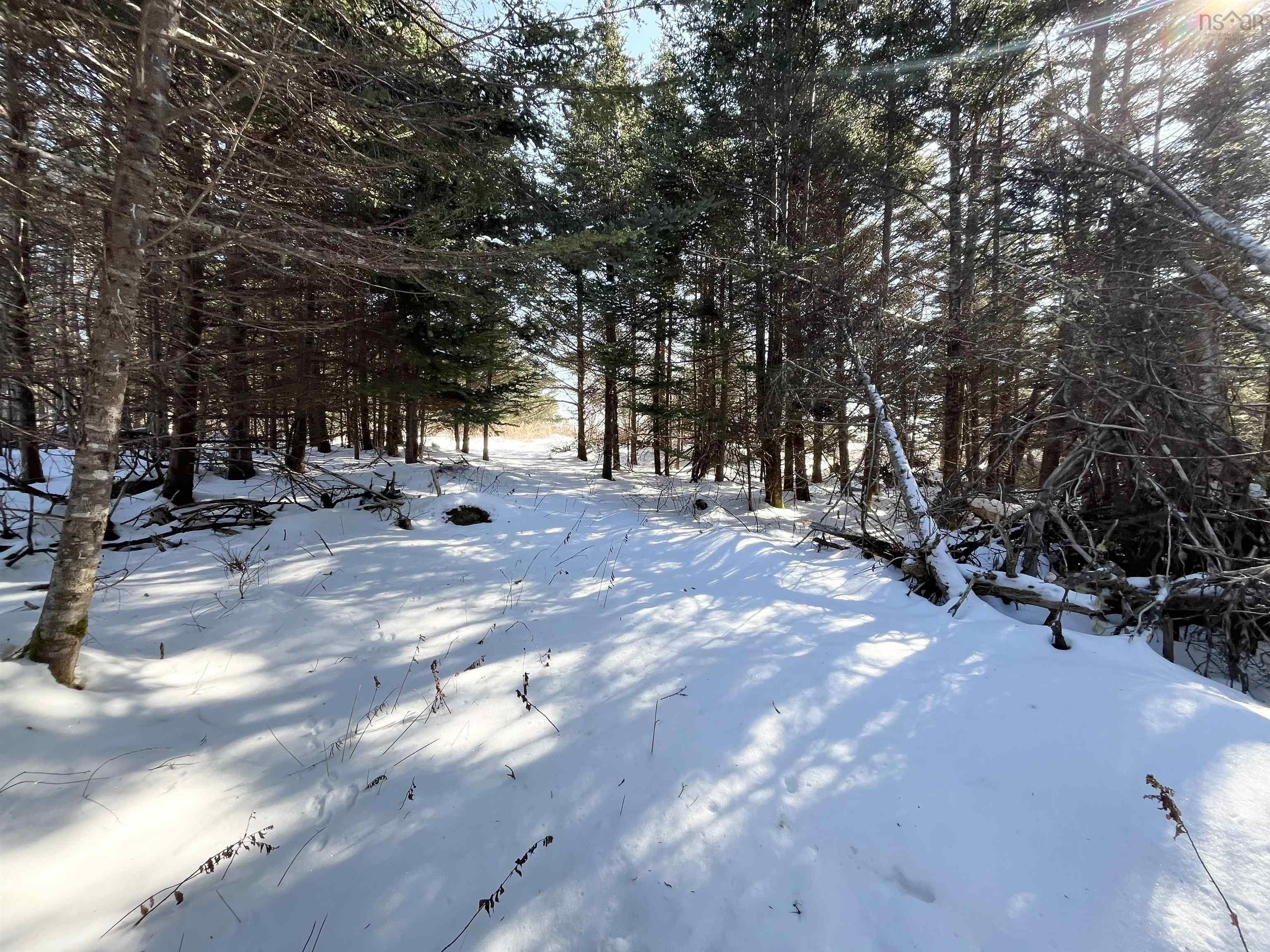 $65,000.00: 46 Shag Harbour Station Road, Shag Harbour