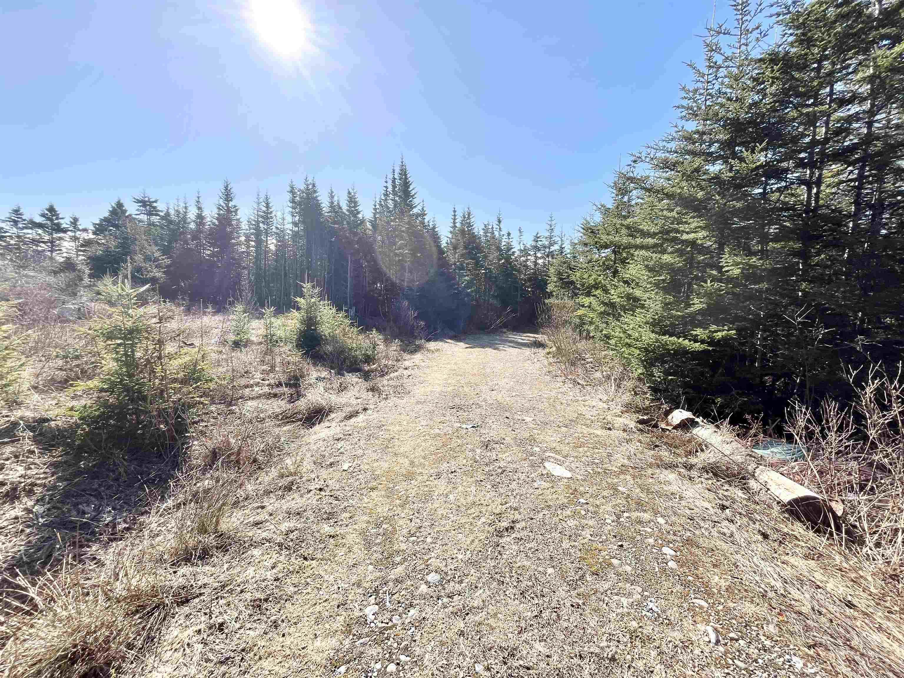 $65,000.00: 46 Shag Harbour Station Road, Shag Harbour