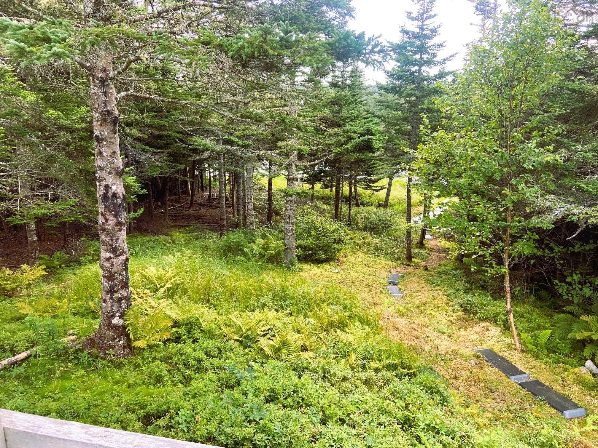 3589 Clam Harbour Road, Clam Harbour, NS (MLS 202603070)