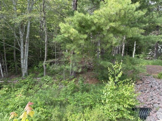 Lot B Meadowvale Road, East Tremont, NS (MLS® 202603071)