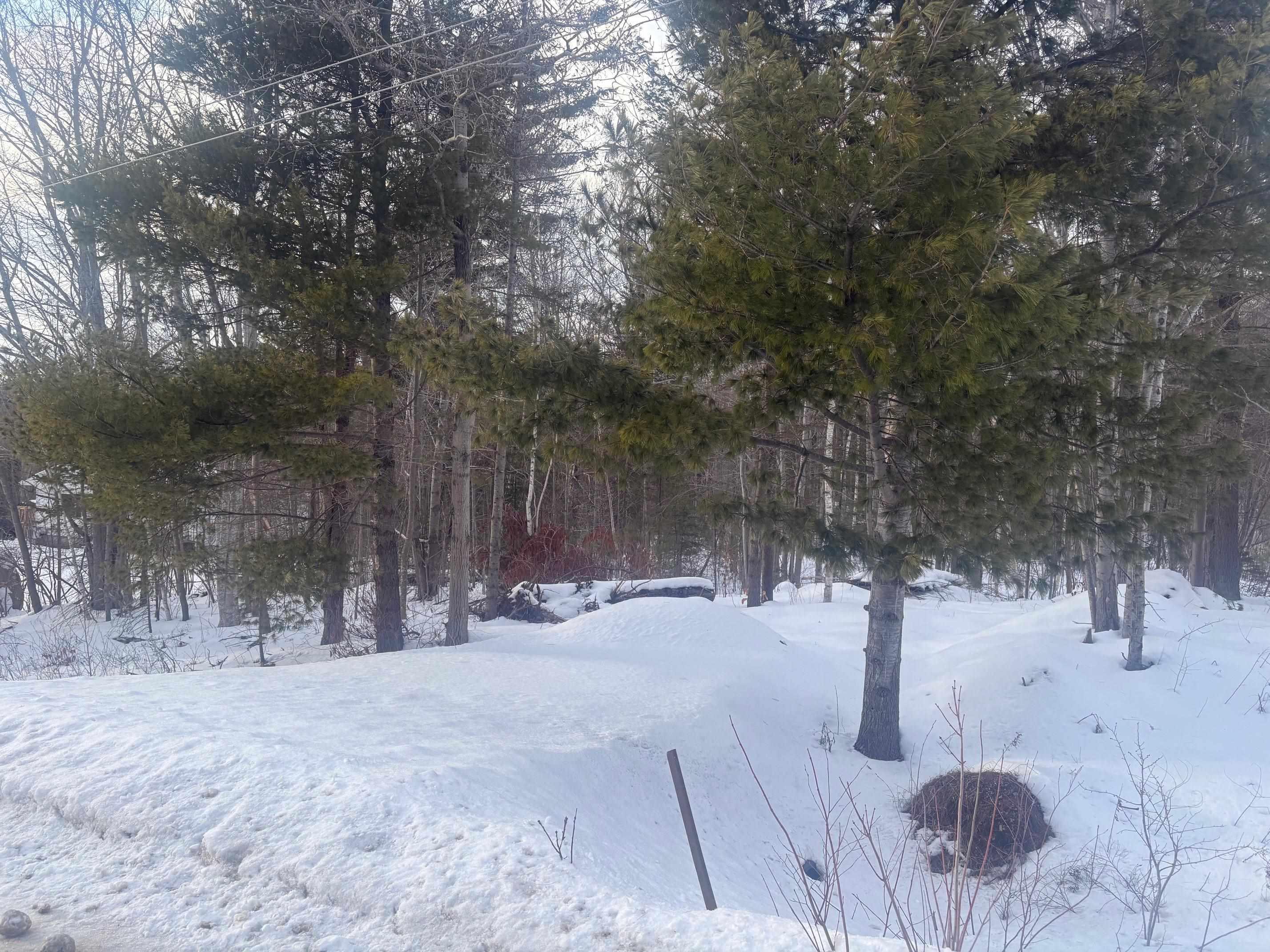 $39,900.00: Lot B Meadowvale Road, East Tremont