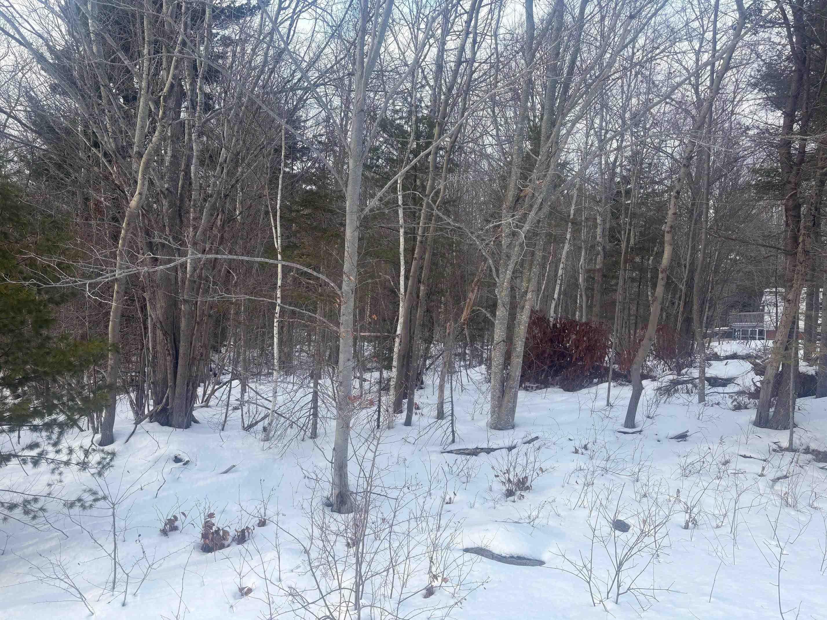 $39,900.00: Lot B Meadowvale Road, East Tremont