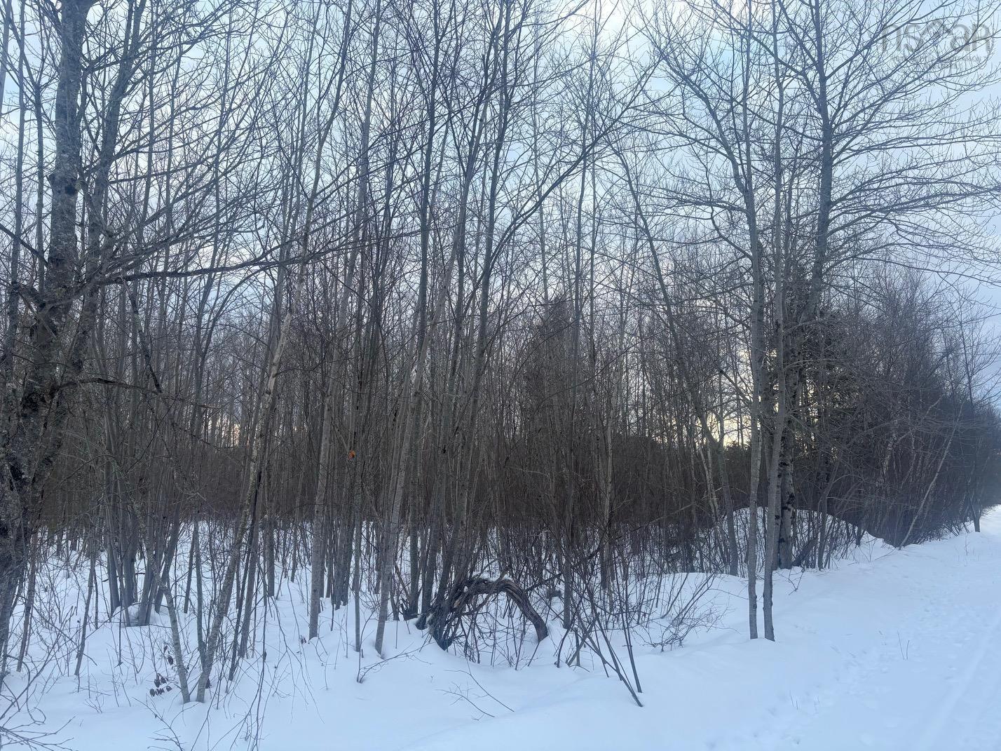 $115,000.00: Lot 2026 Hall Road, Factorydale