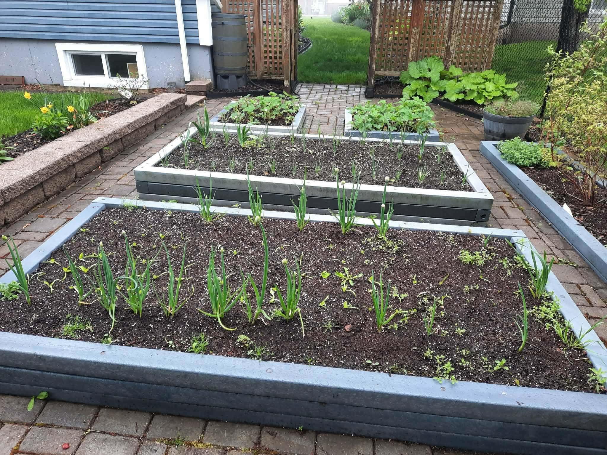 62 Allison Drive, Cole Harbour, NS (MLS 202603081)