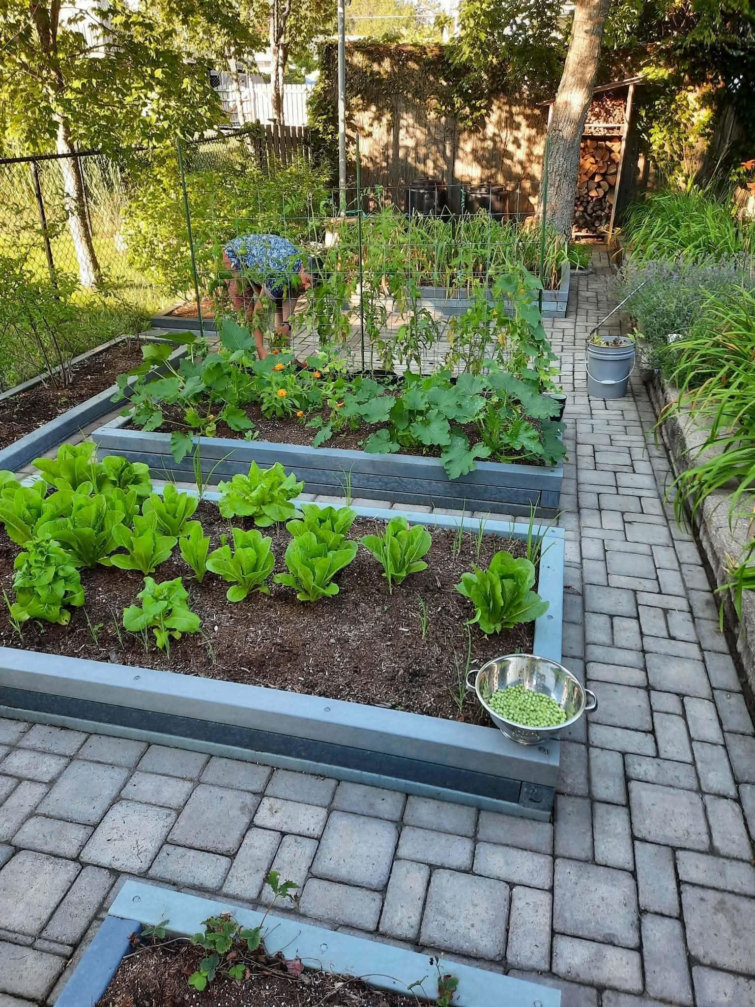 62 Allison Drive, Cole Harbour, NS (MLS 202603081)