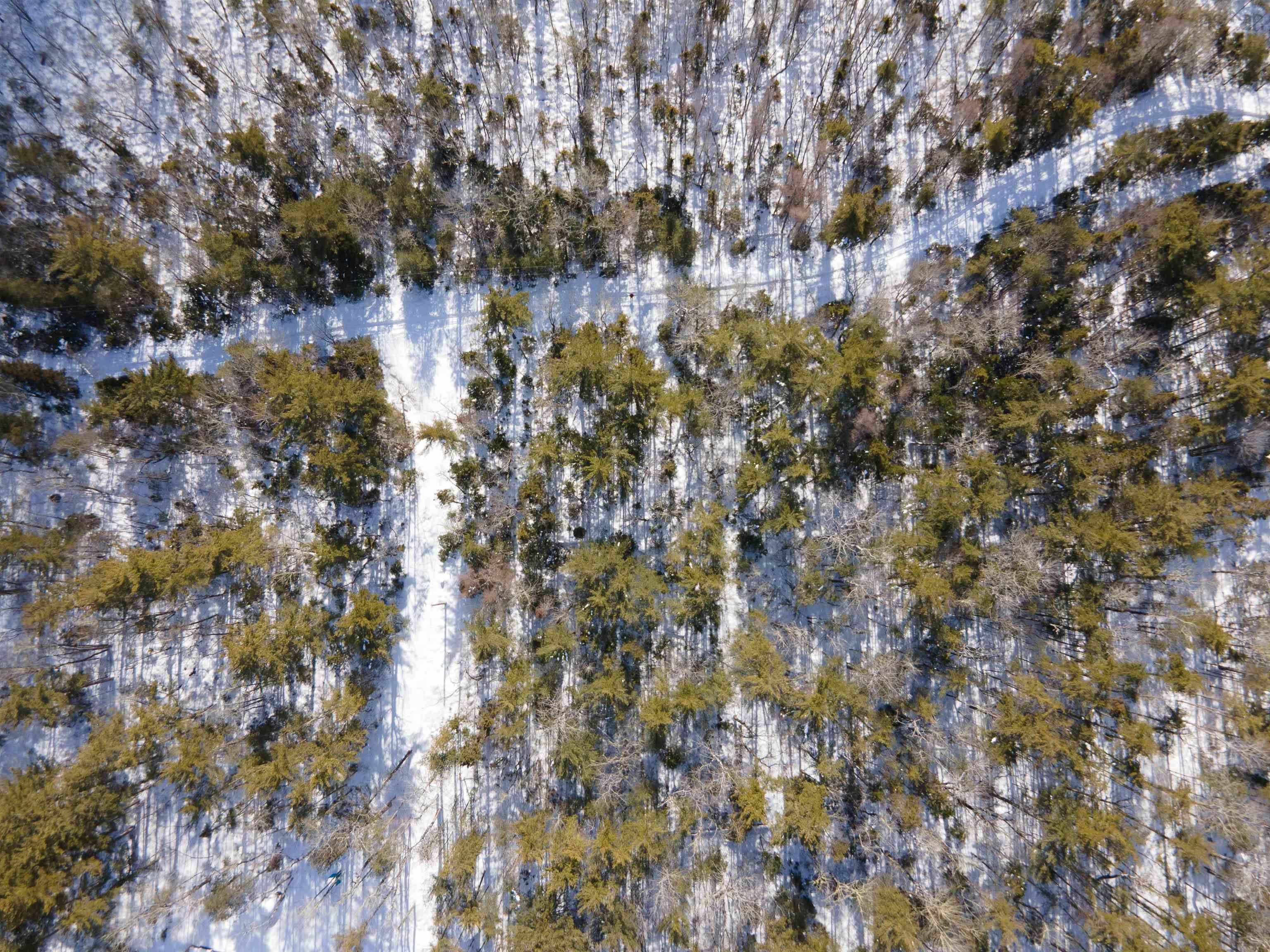 $110,000.00: Lot 13 Harbour Acres West Road, Molega