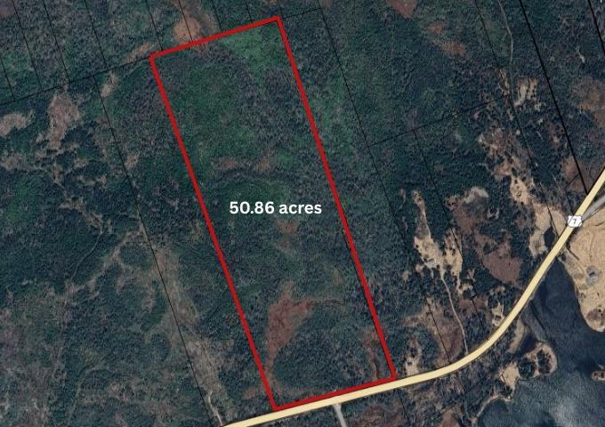 No 7 Highway, Necum Teuch, NS (MLS 202603101)