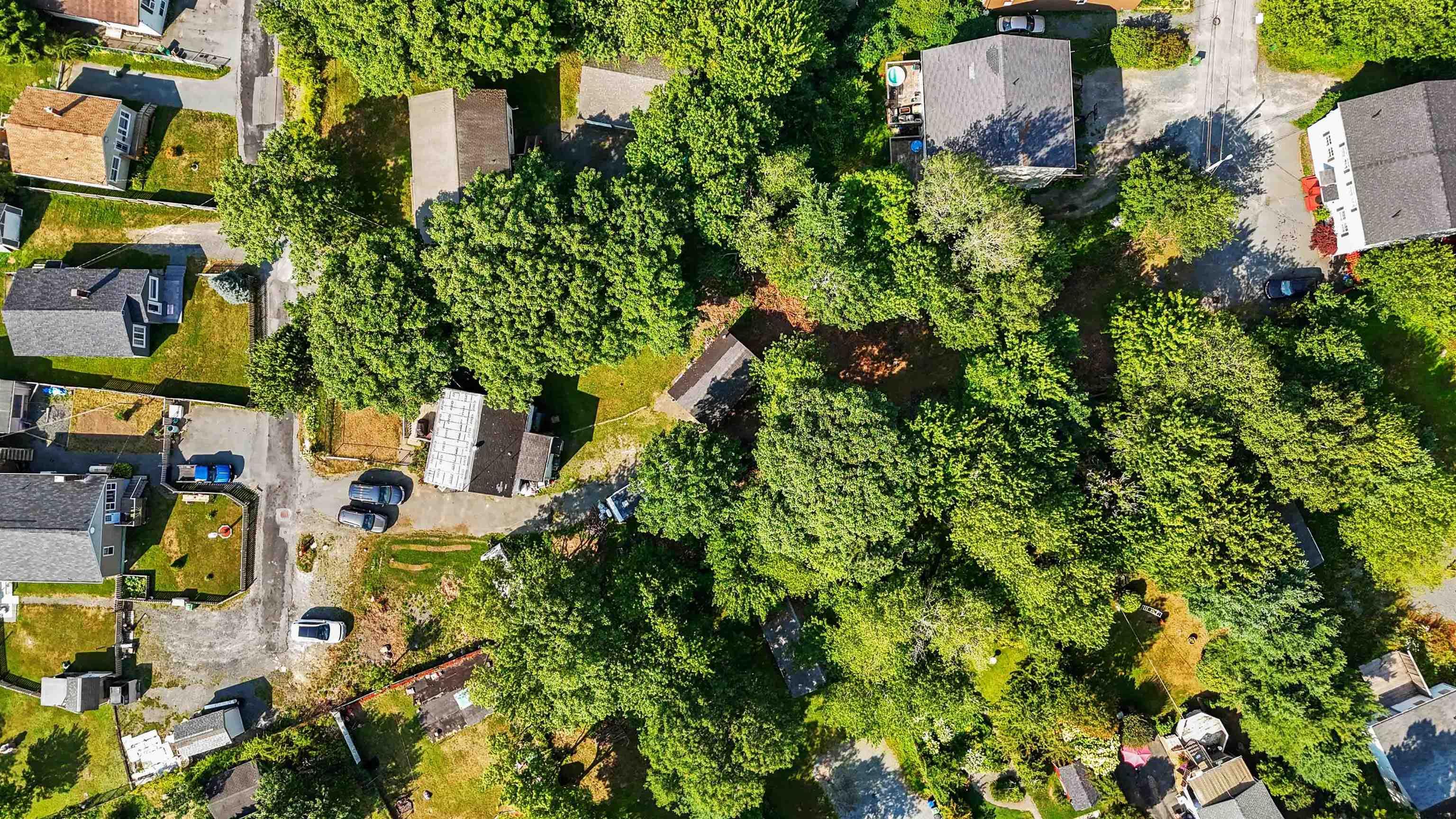 24 Levis Street, Halifax, NS (MLS 202603103)