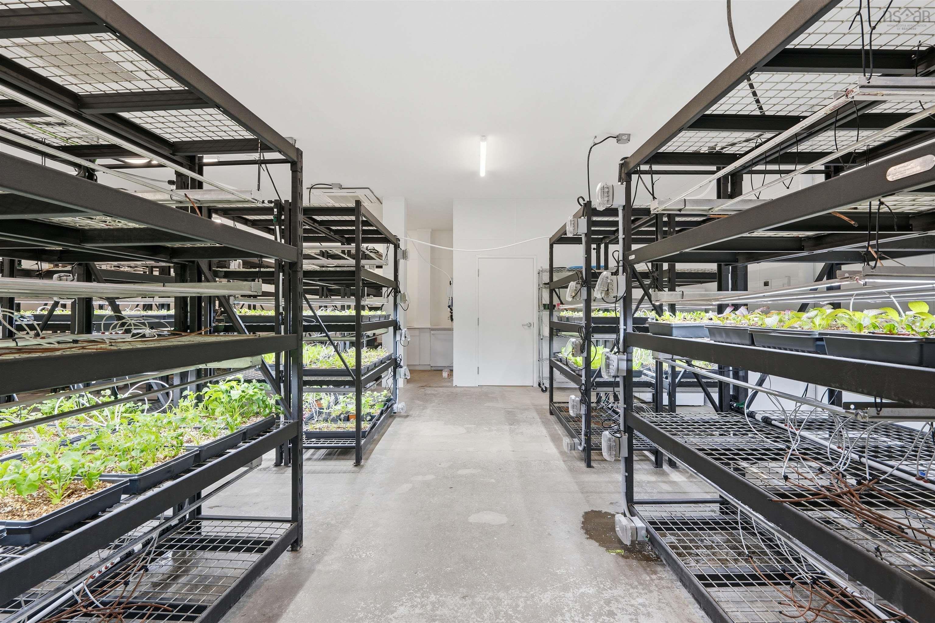 5540 Cunard Street, Halifax, NS (MLS 202603123)