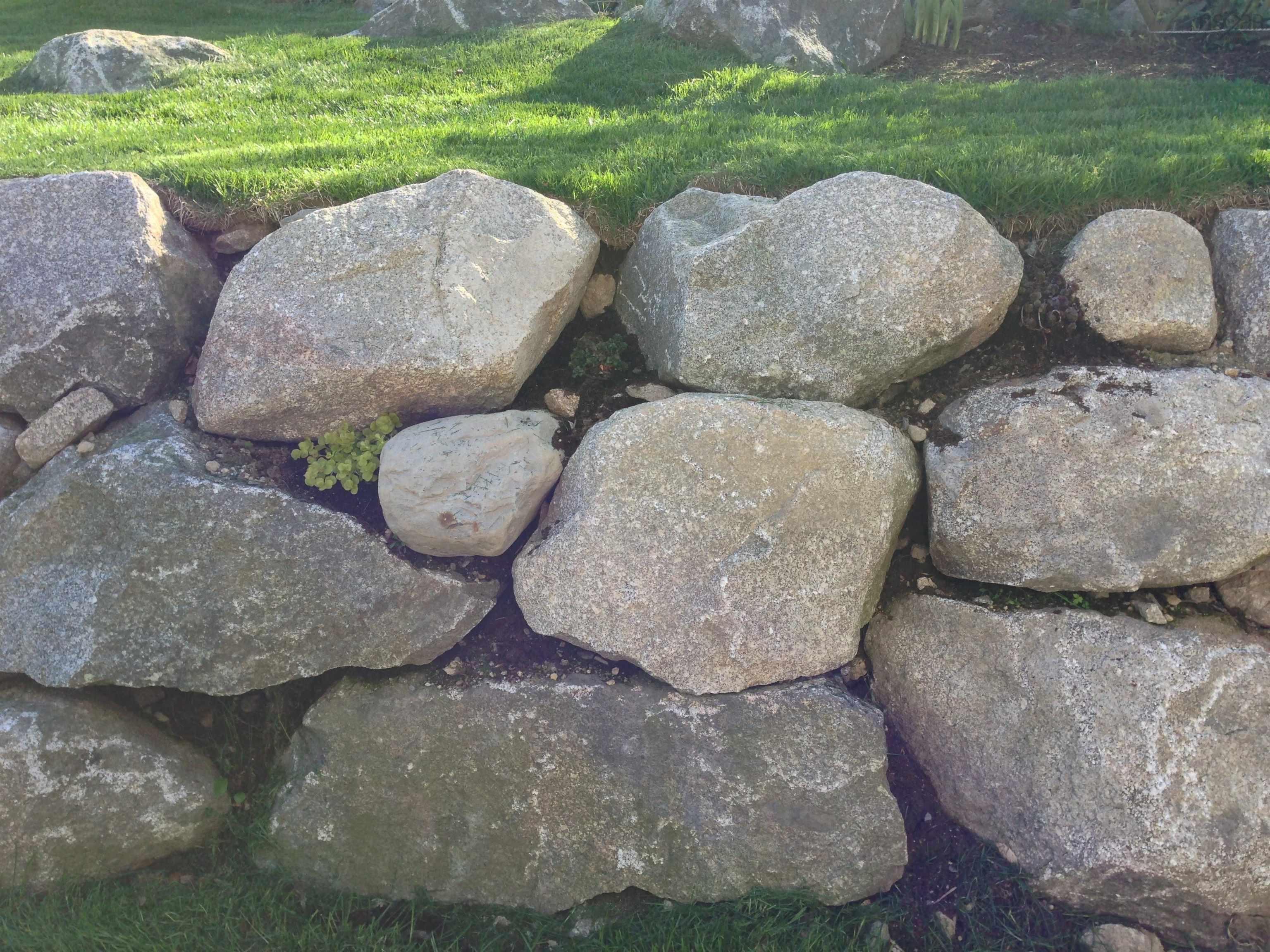 11 Maplewood Drive, Halifax, NS (MLS 202603124)