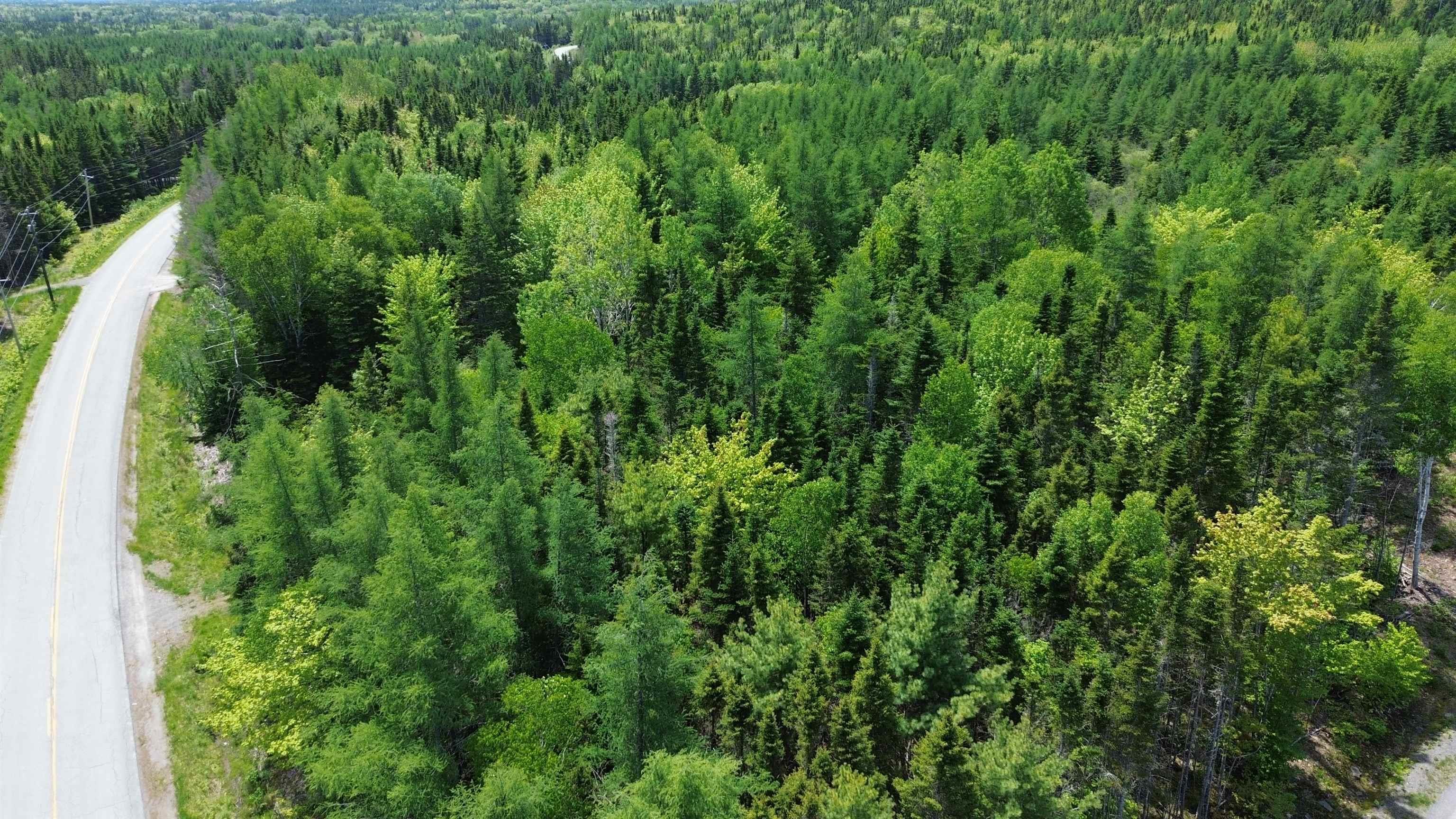 $54,900.00: Lot 13 Lower River Road, Grantville